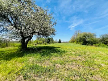 Property at 0 Peruville Road, Groton, NY 13073