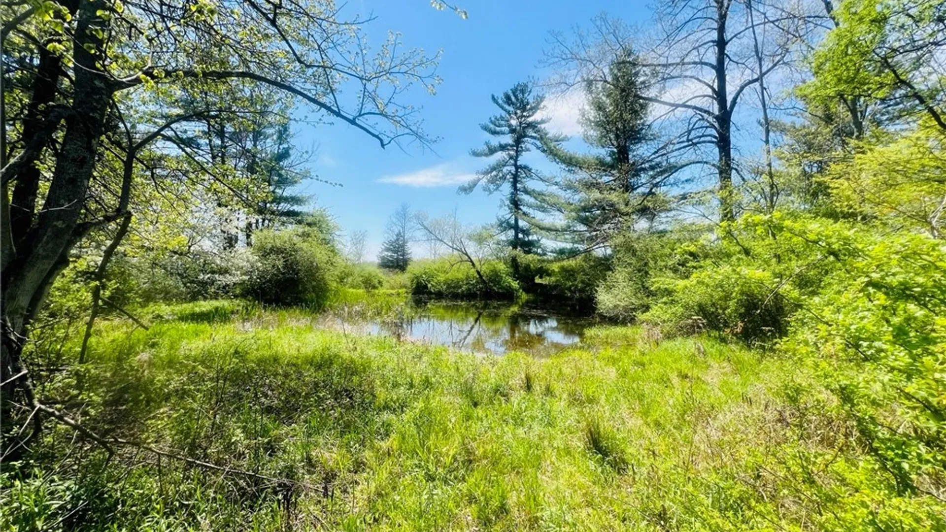 Property at 0 Peruville Road, Groton, NY 13073 21