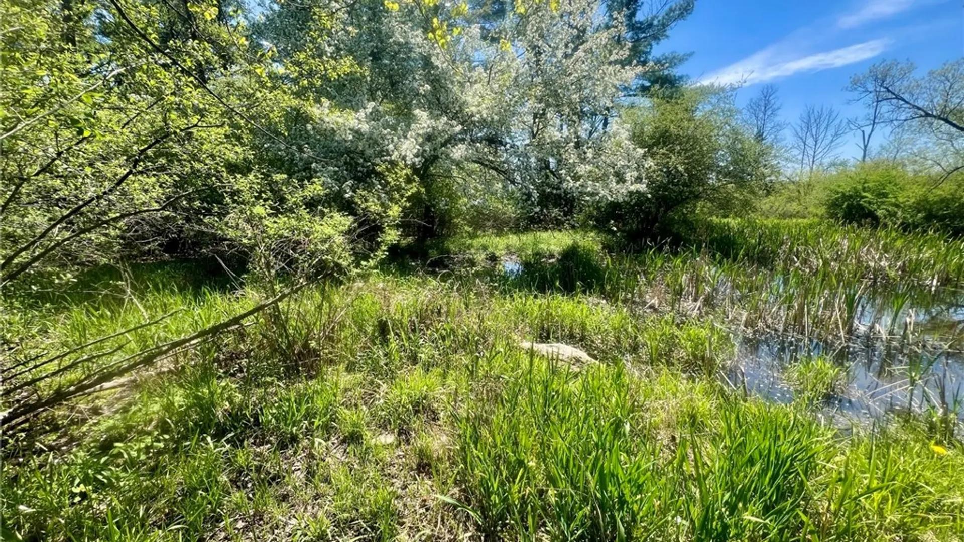 Property at 0 Peruville Road, Groton, NY 13073 22
