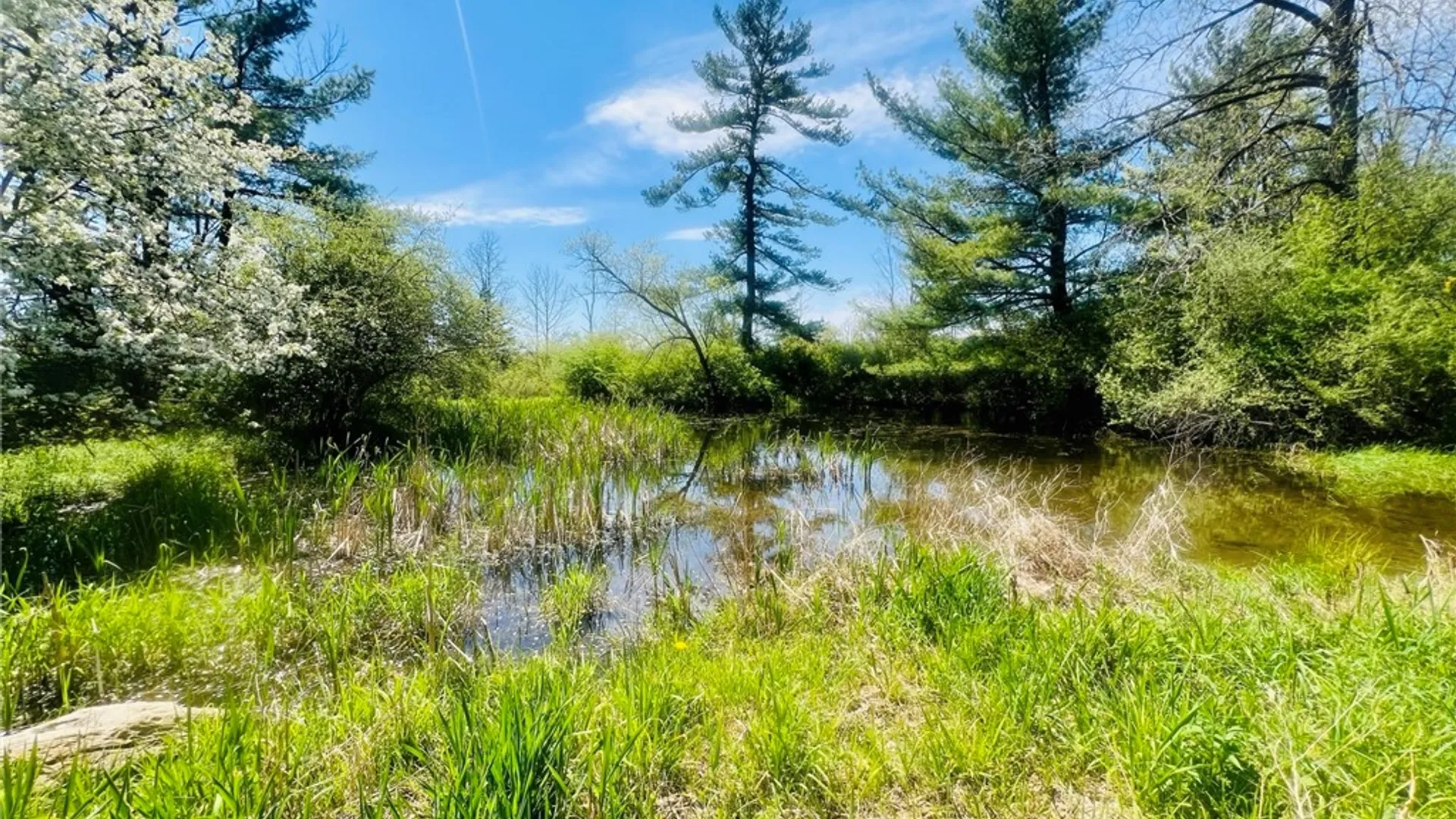 Property at 0 Peruville Road, Groton, NY 13073 23