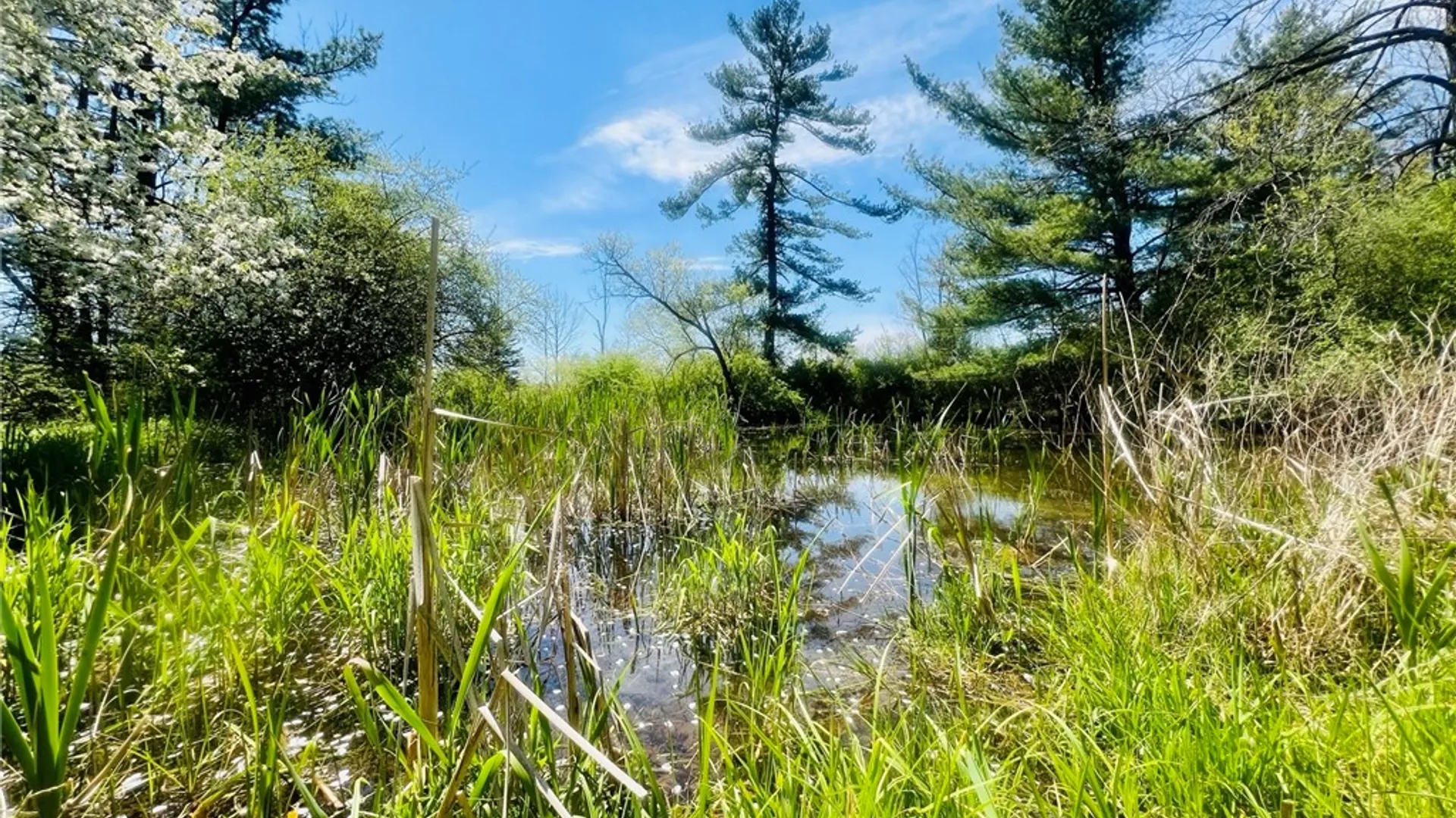 Property at 0 Peruville Road, Groton, NY 13073 25