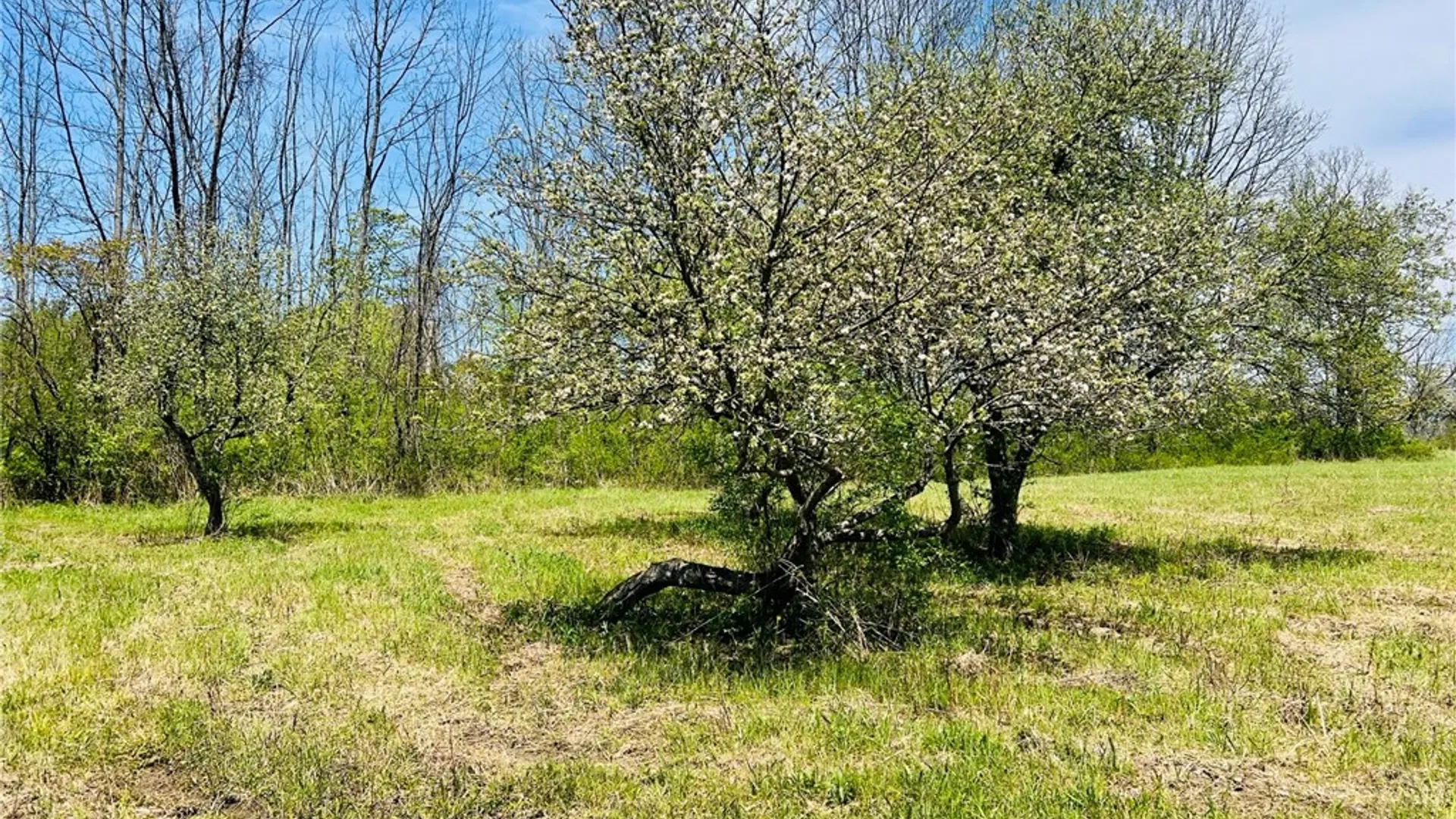 Property at 0 Peruville Road, Groton, NY 13073 7