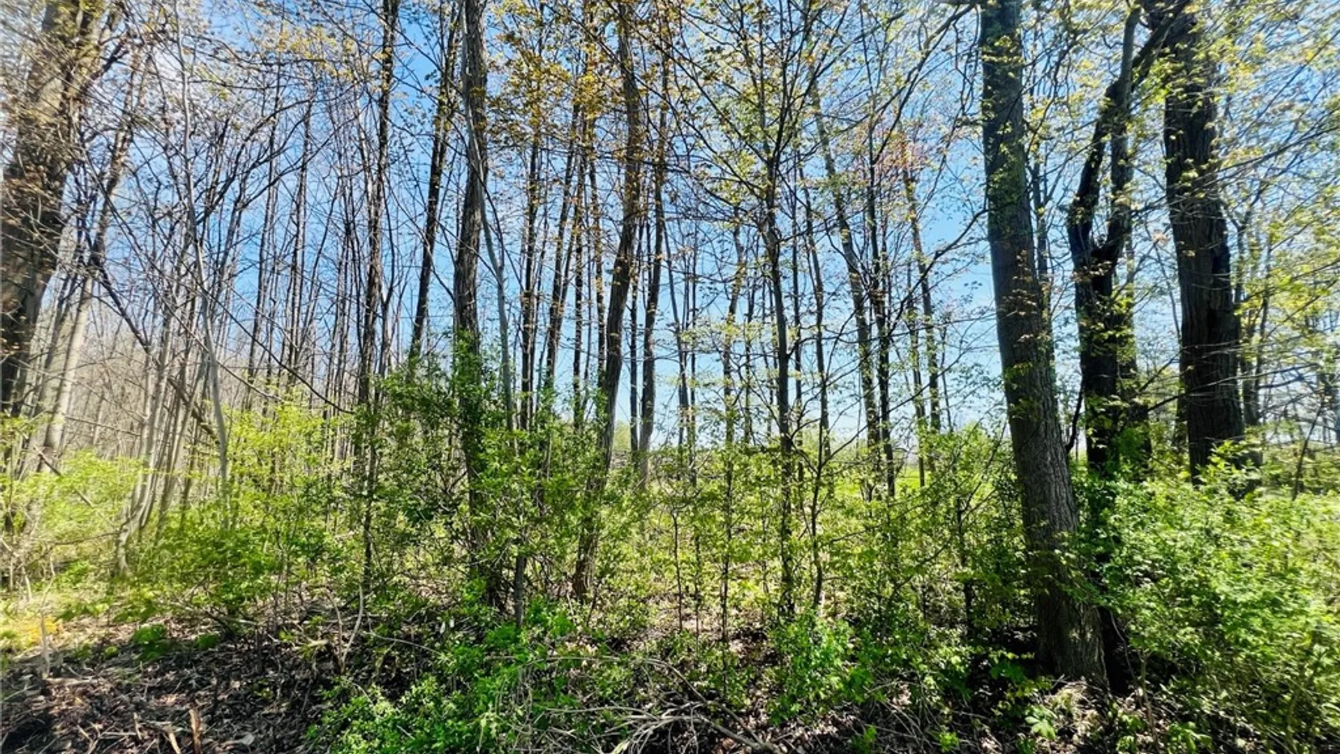 Property at 0 Brown Road, Groton, NY 13073 8
