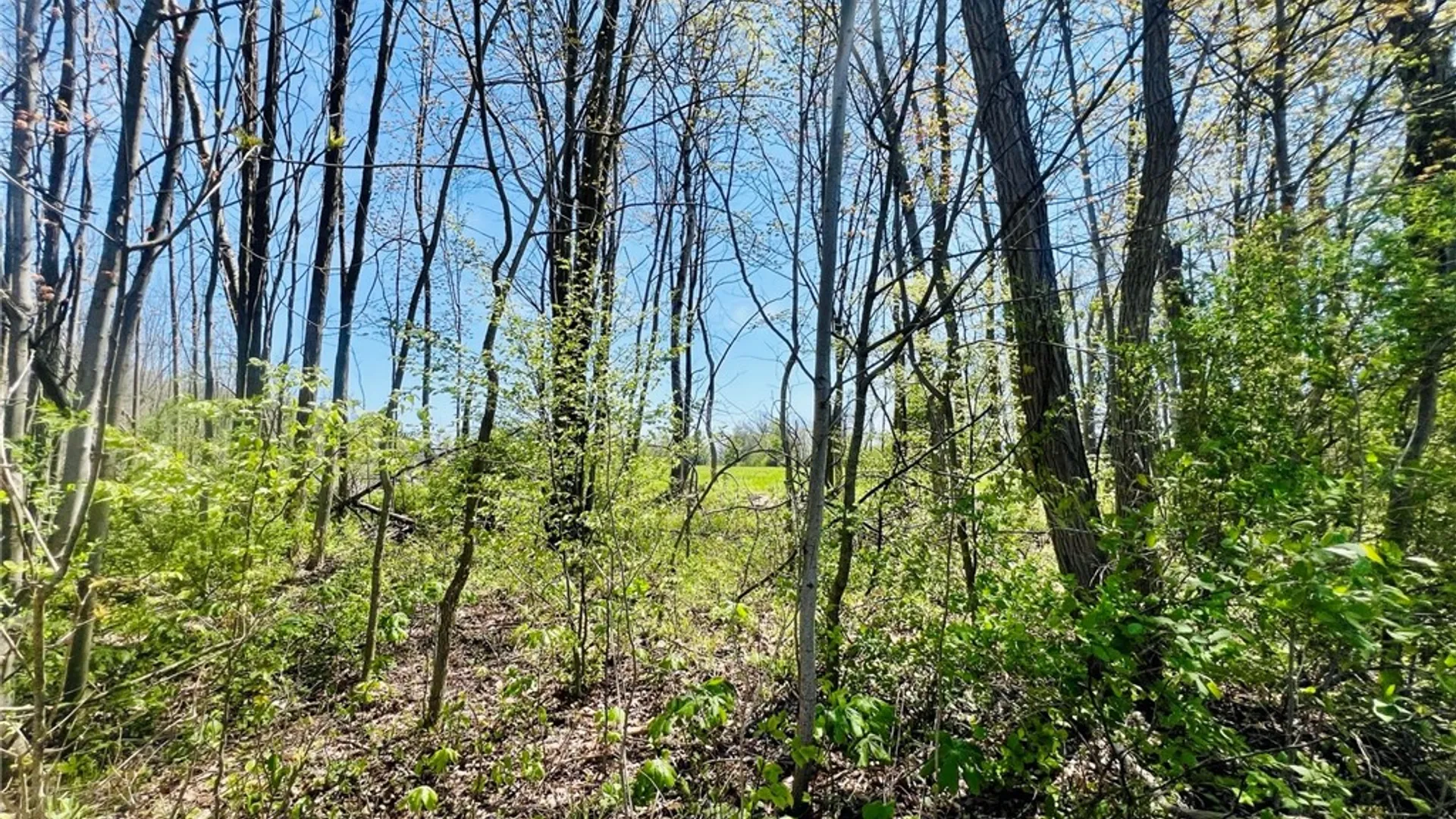 Property at 0 Brown Road, Groton, NY 13073 9