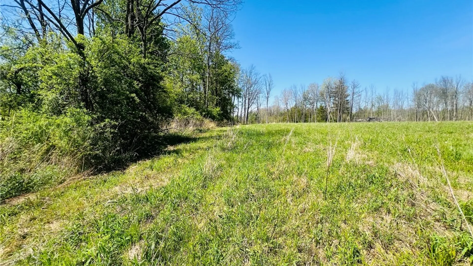 Property at 00 Brown Road, Groton, NY 13073 4