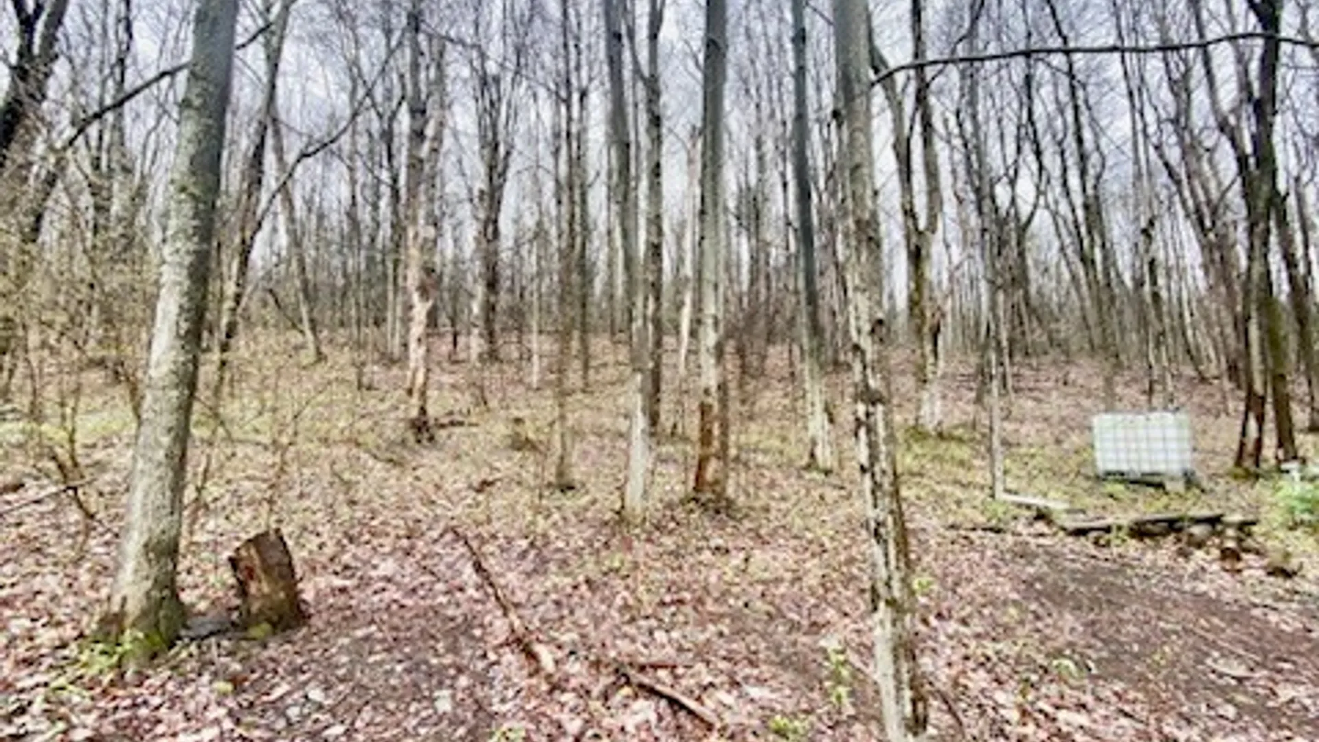 Property at 6973 Echo Mountain Road, Canadice, NY 14560 15