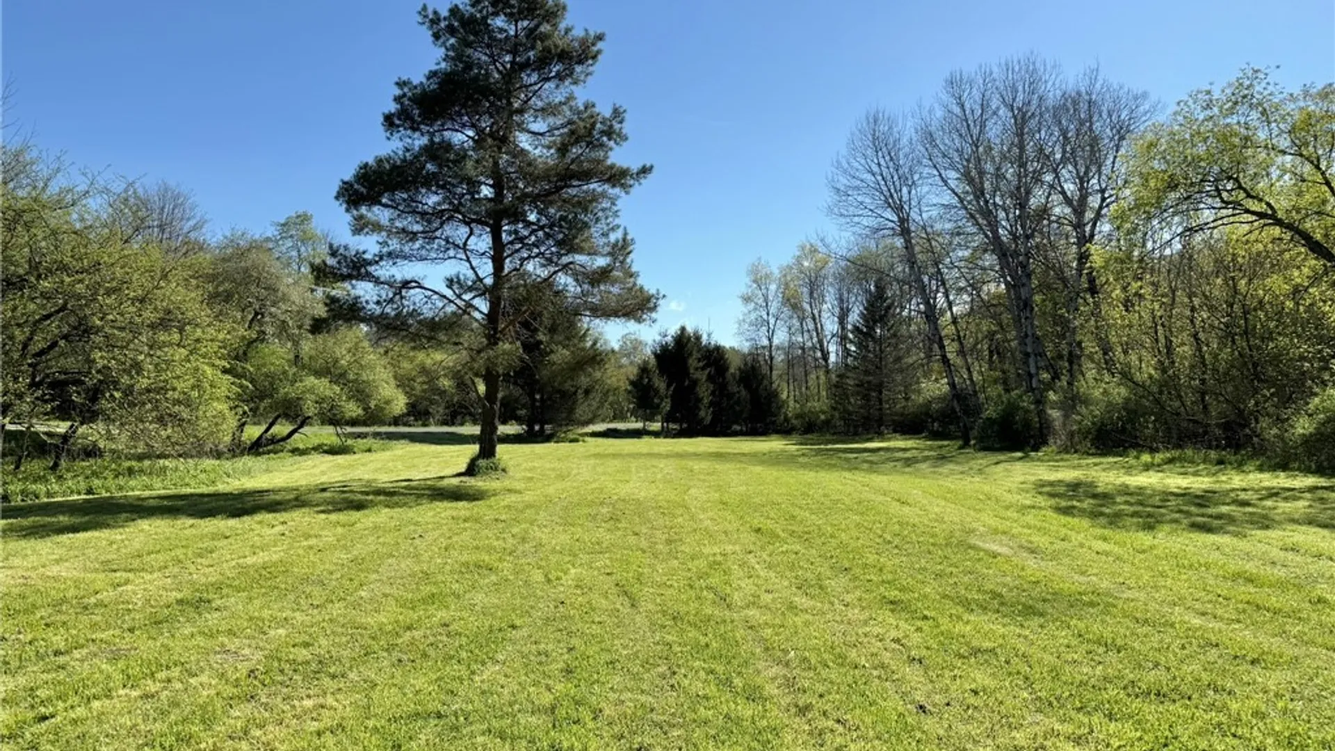 Property at 3137 Bear Creek Road, Machias, NY 14737 11