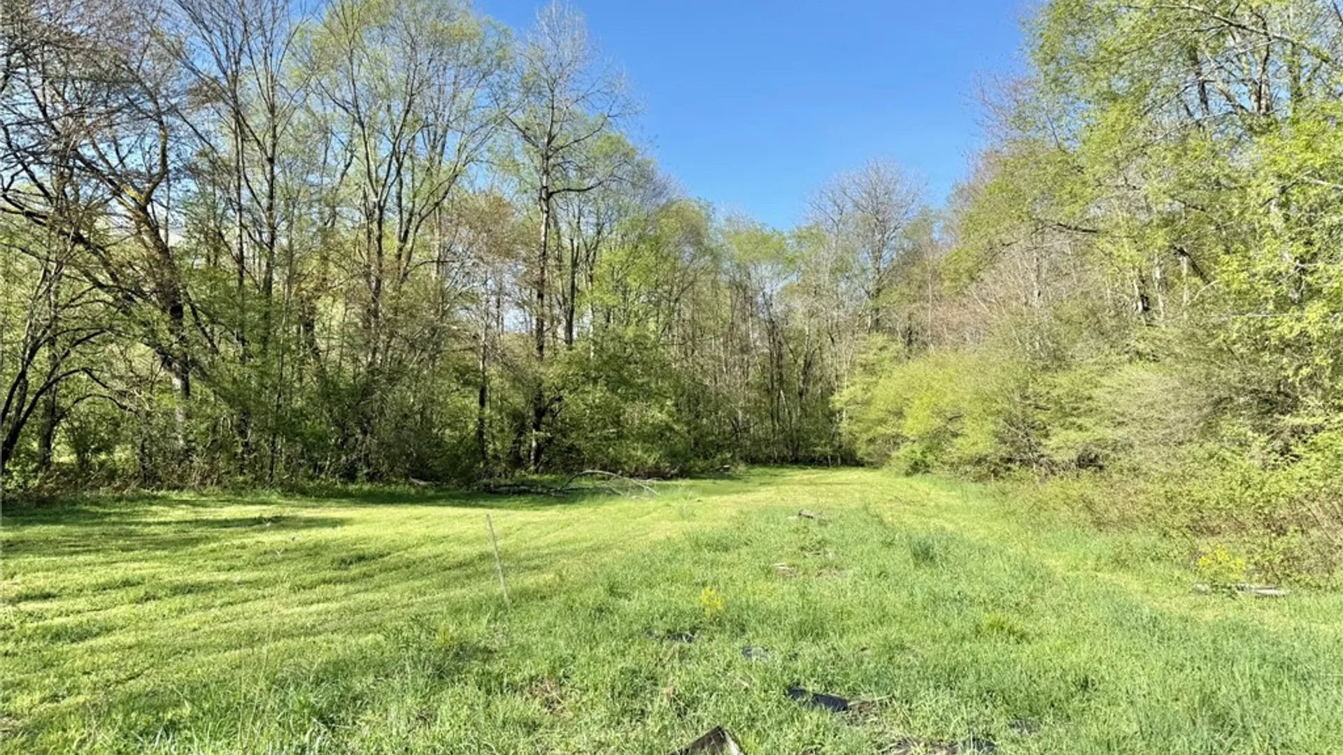 Property at 3137 Bear Creek Road, Machias, NY 14737 12