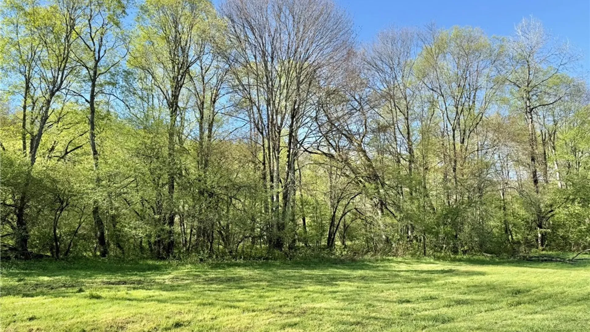 Property at 3137 Bear Creek Road, Machias, NY 14737 13