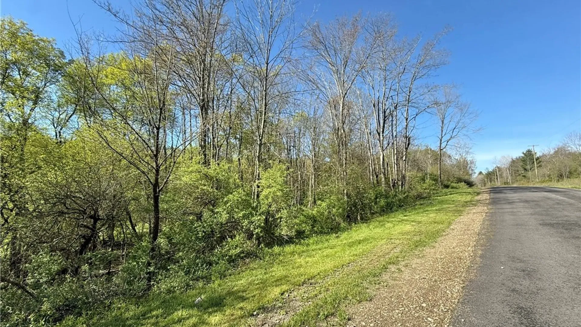 Property at 3137 Bear Creek Road, Machias, NY 14737 14