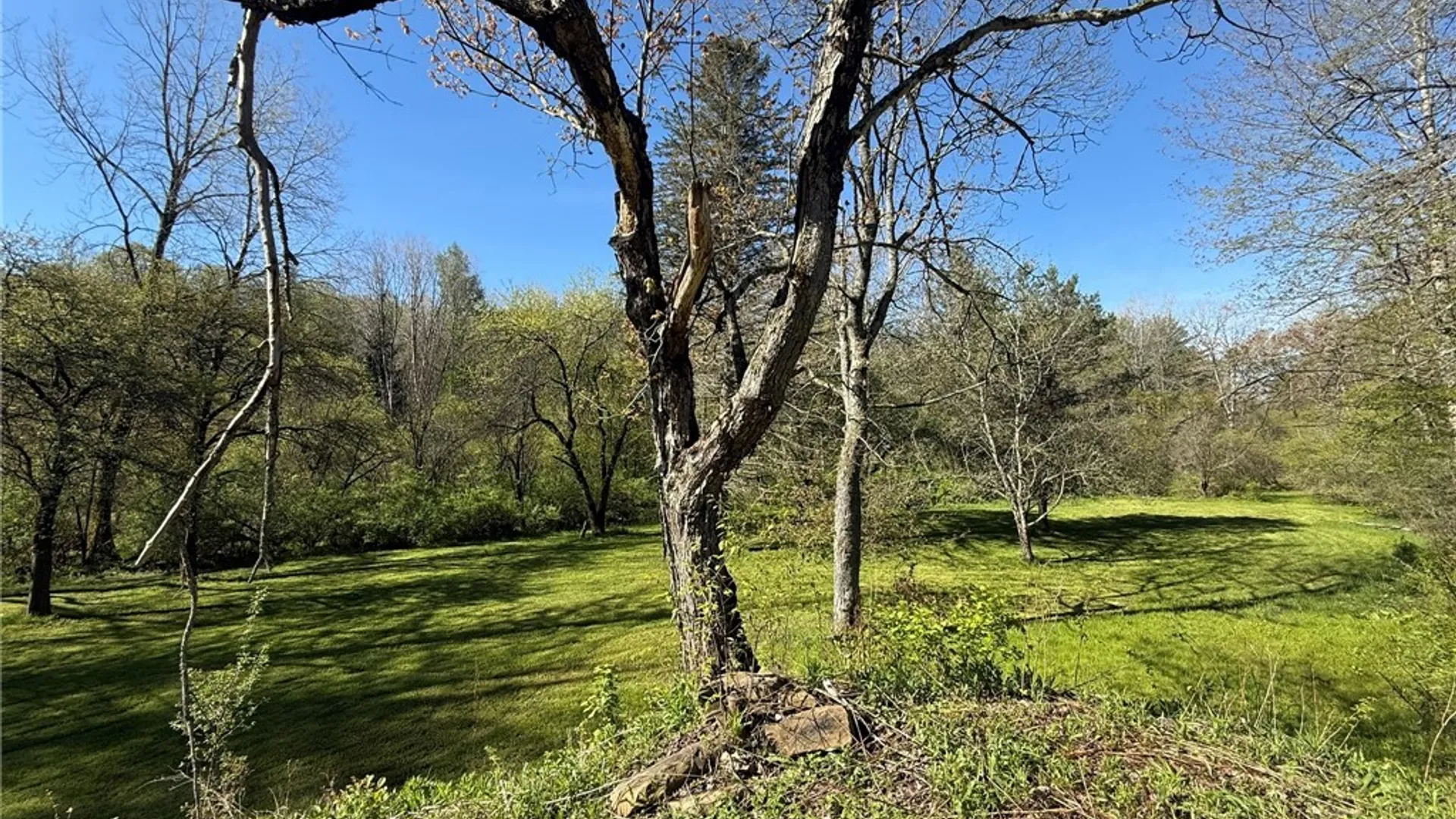 Property at 3137 Bear Creek Road, Machias, NY 14737 23