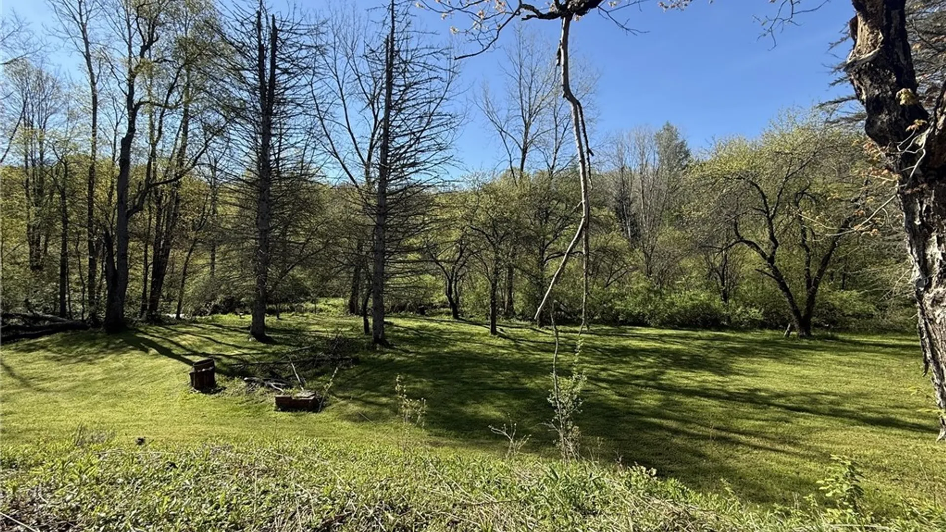 Property at 3137 Bear Creek Road, Machias, NY 14737 24