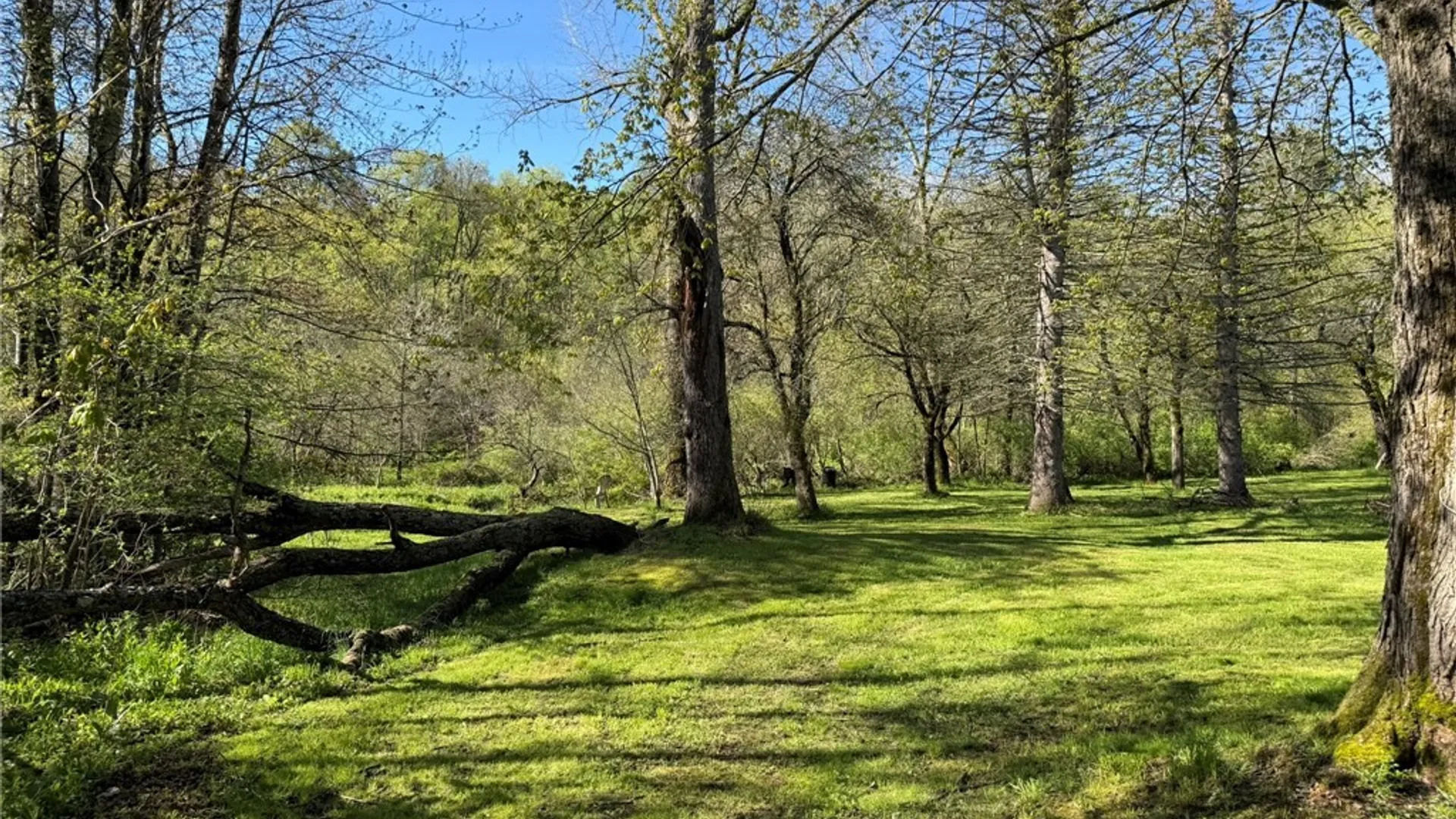 Property at 3137 Bear Creek Road, Machias, NY 14737 25