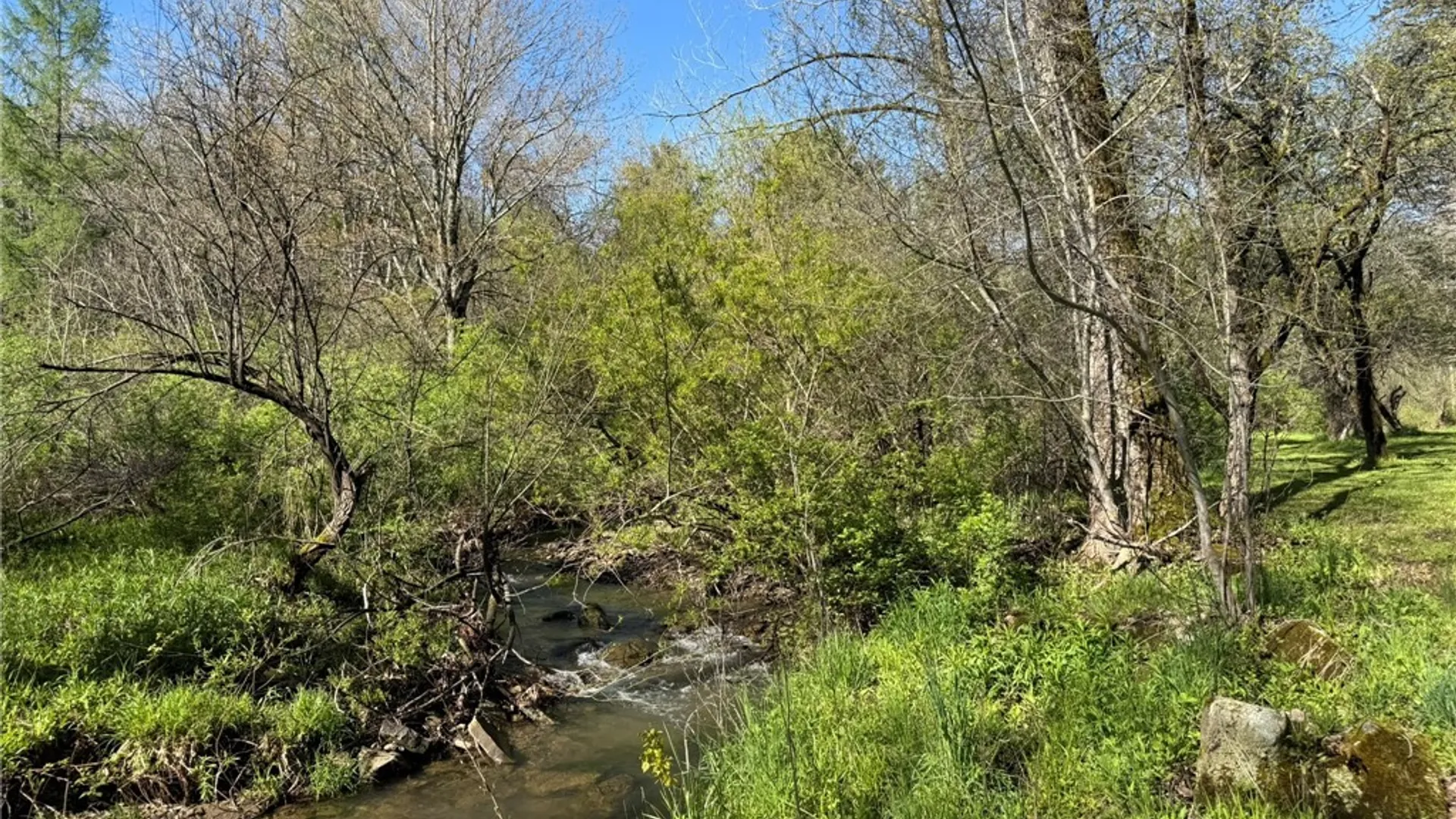 Property at 3137 Bear Creek Road, Machias, NY 14737 27