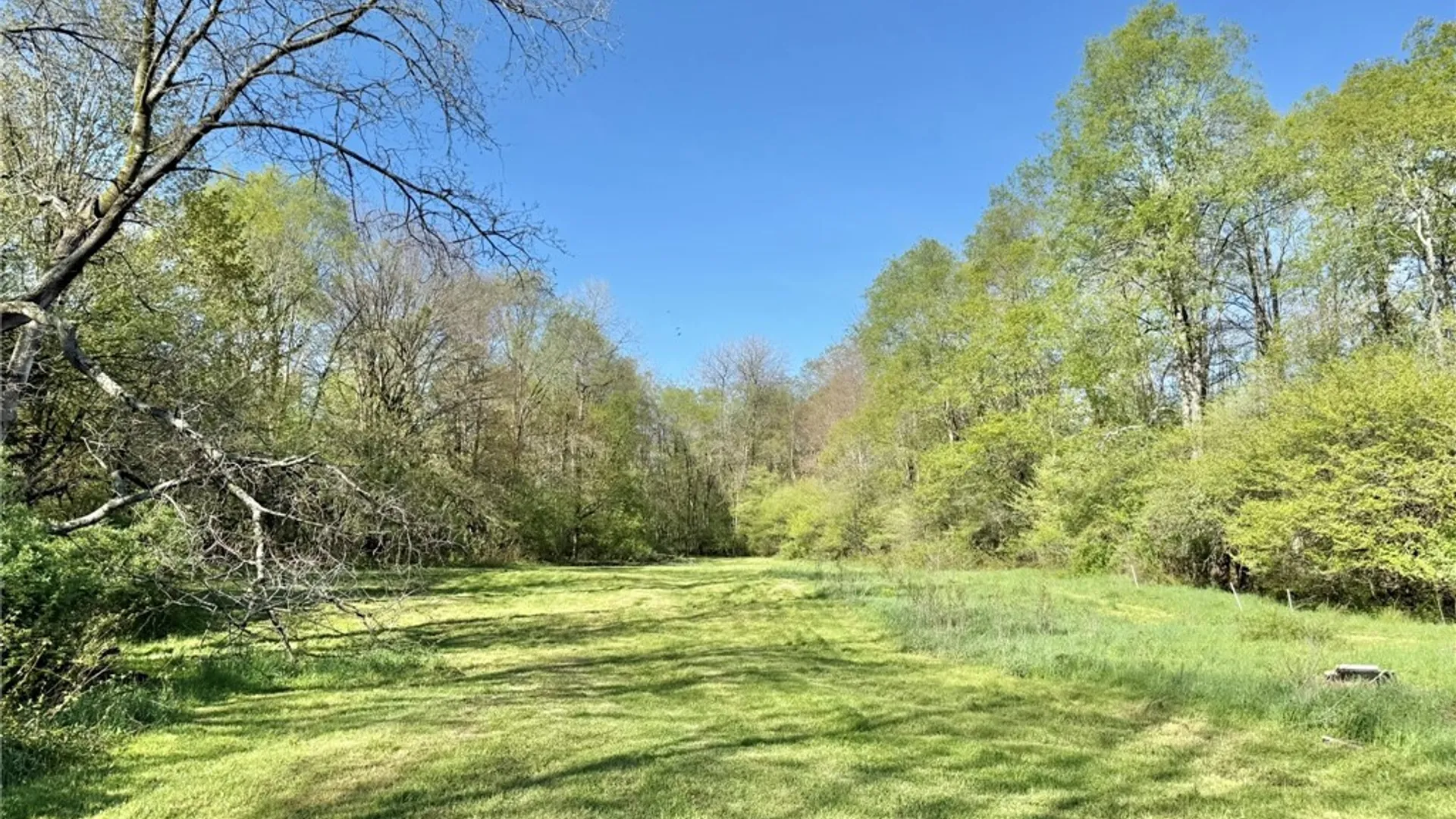 Property at 3137 Bear Creek Road, Machias, NY 14737 8