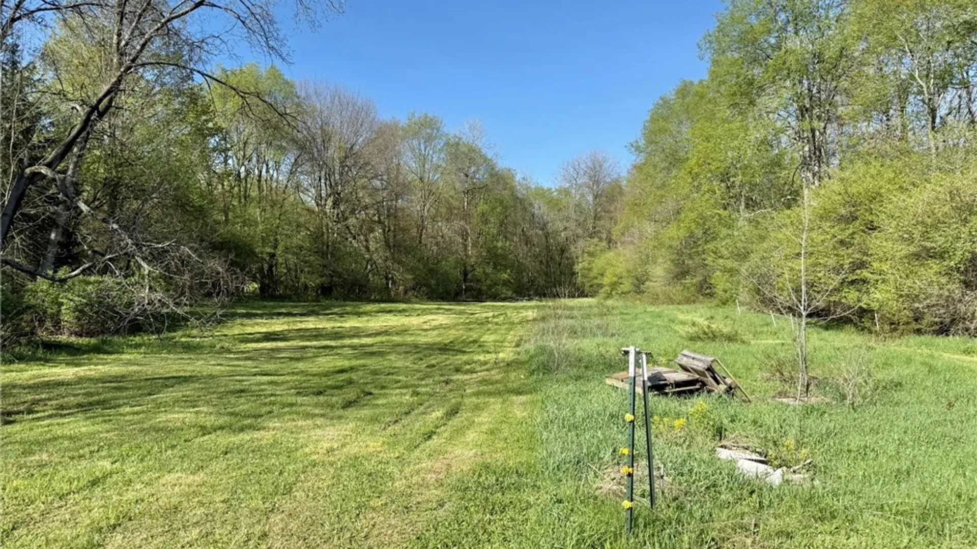 Property at 3137 Bear Creek Road, Machias, NY 14737 9