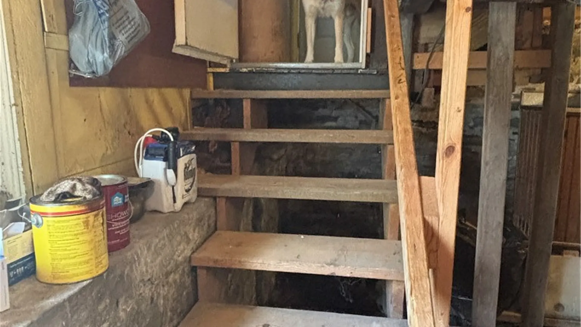 Property at 14 Pine Street, Hornell, NY 14843 39