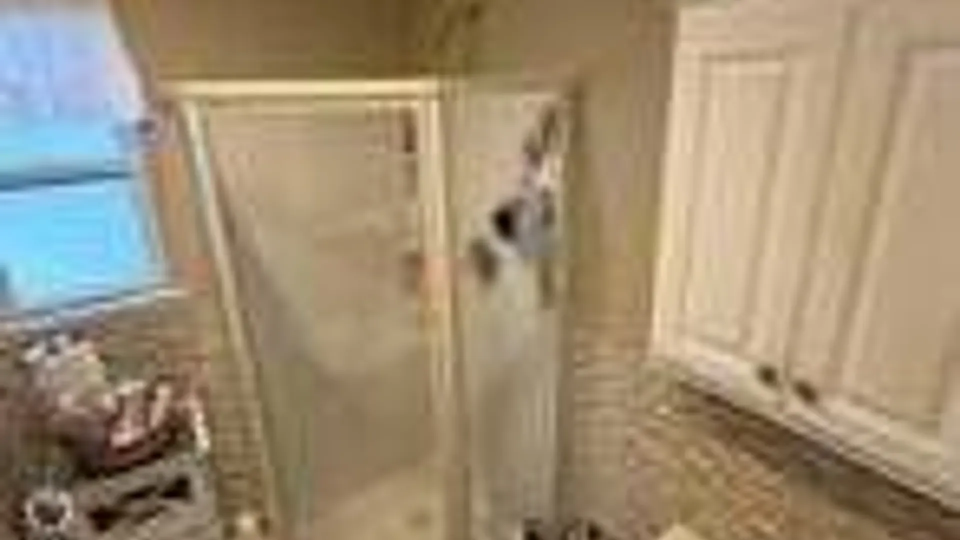 Property at 344 Woods Rd, North Babylon, NY 11703 8