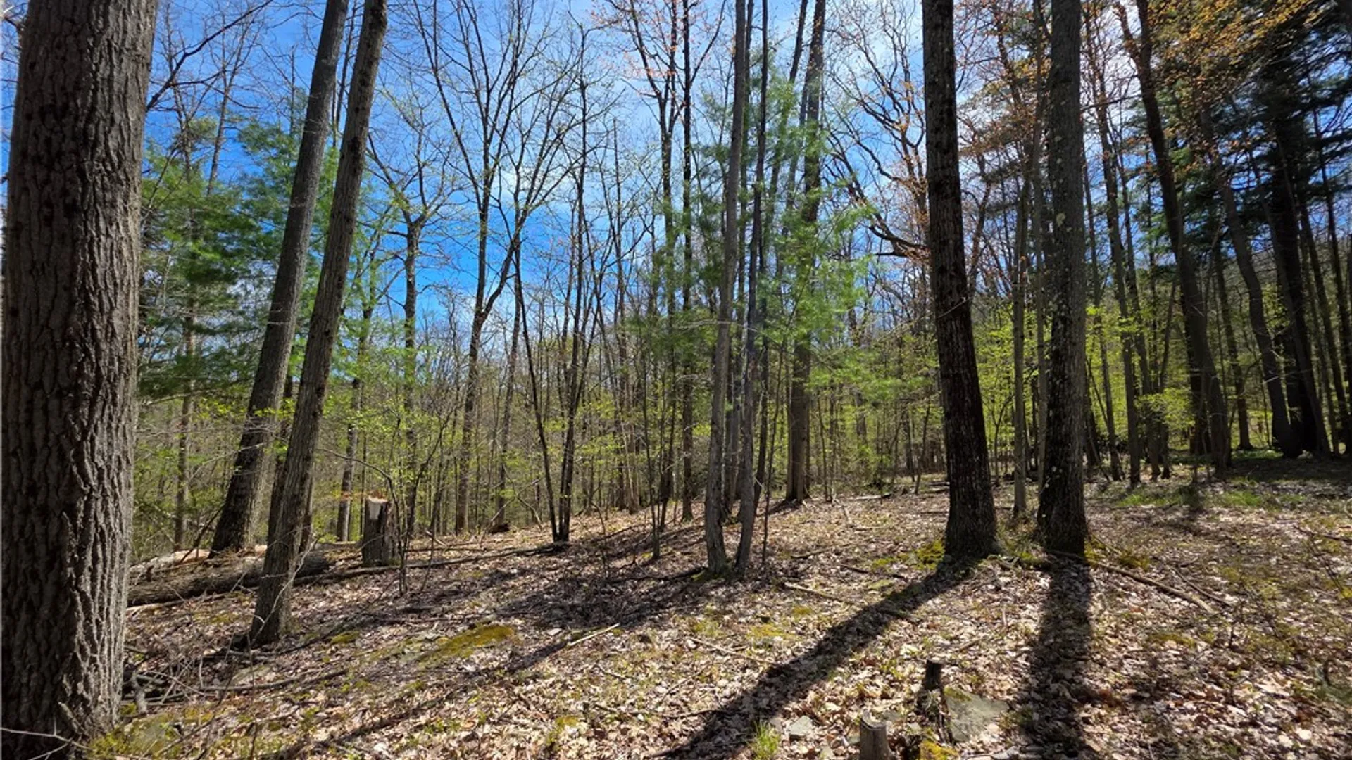 Property at 4408 Bush Hill Road, Canisteo, NY 14823 28