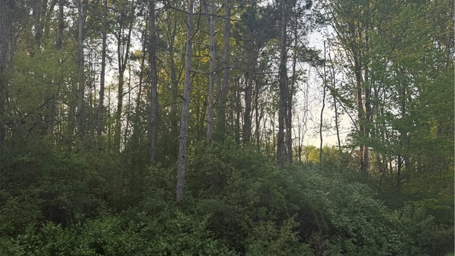 Property at Miner Road, Sullivan, NY 13030 14