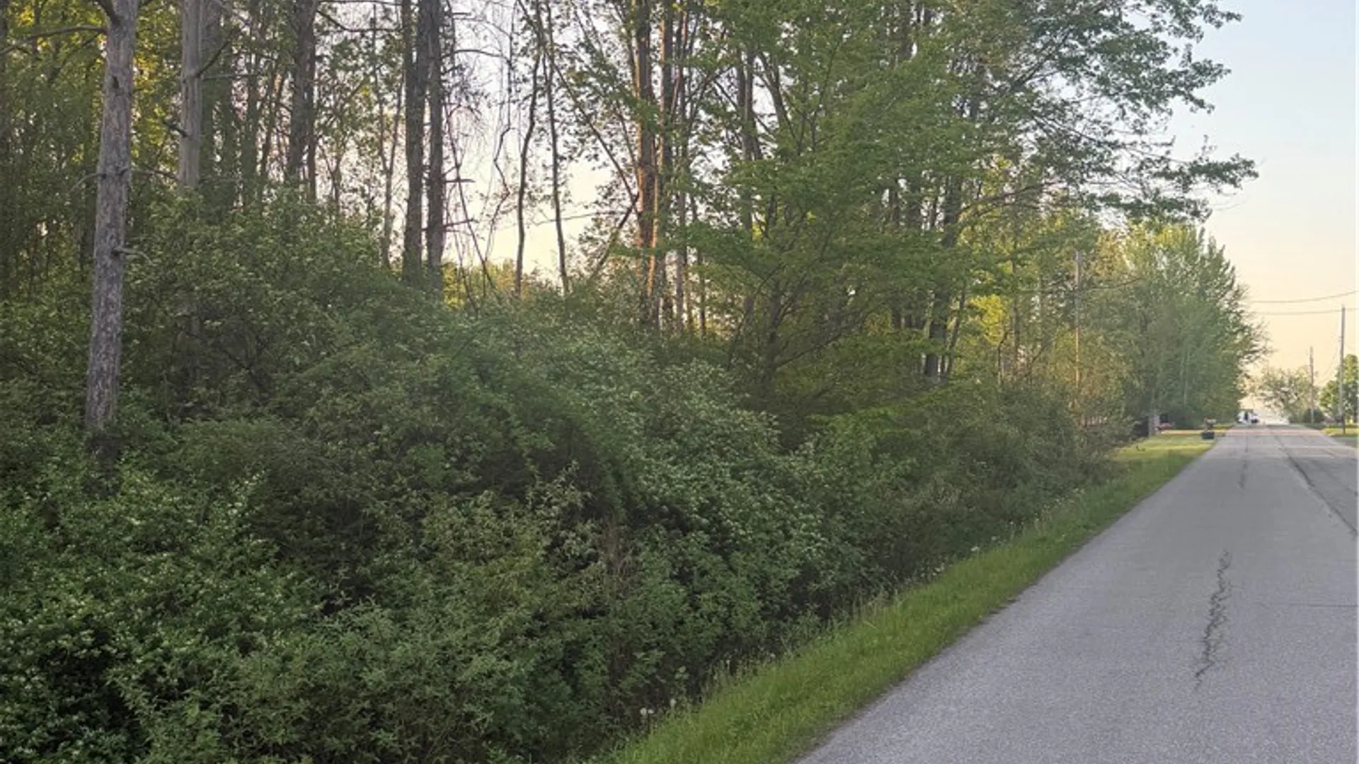 Property at Miner Road, Sullivan, NY 13030 19