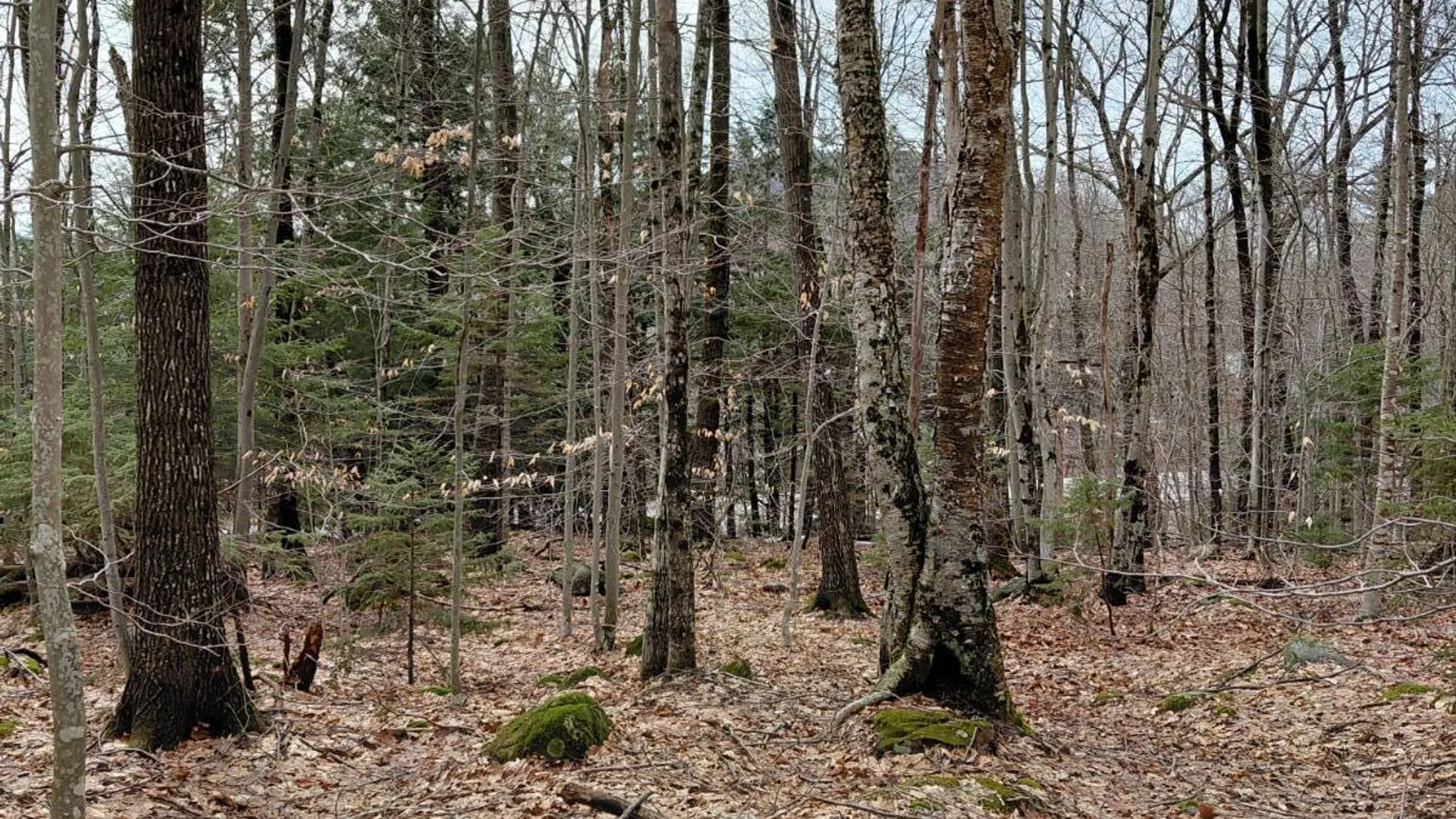 Property at 1775 State Hwy 29A, Caroga Lake, NY 12032 10