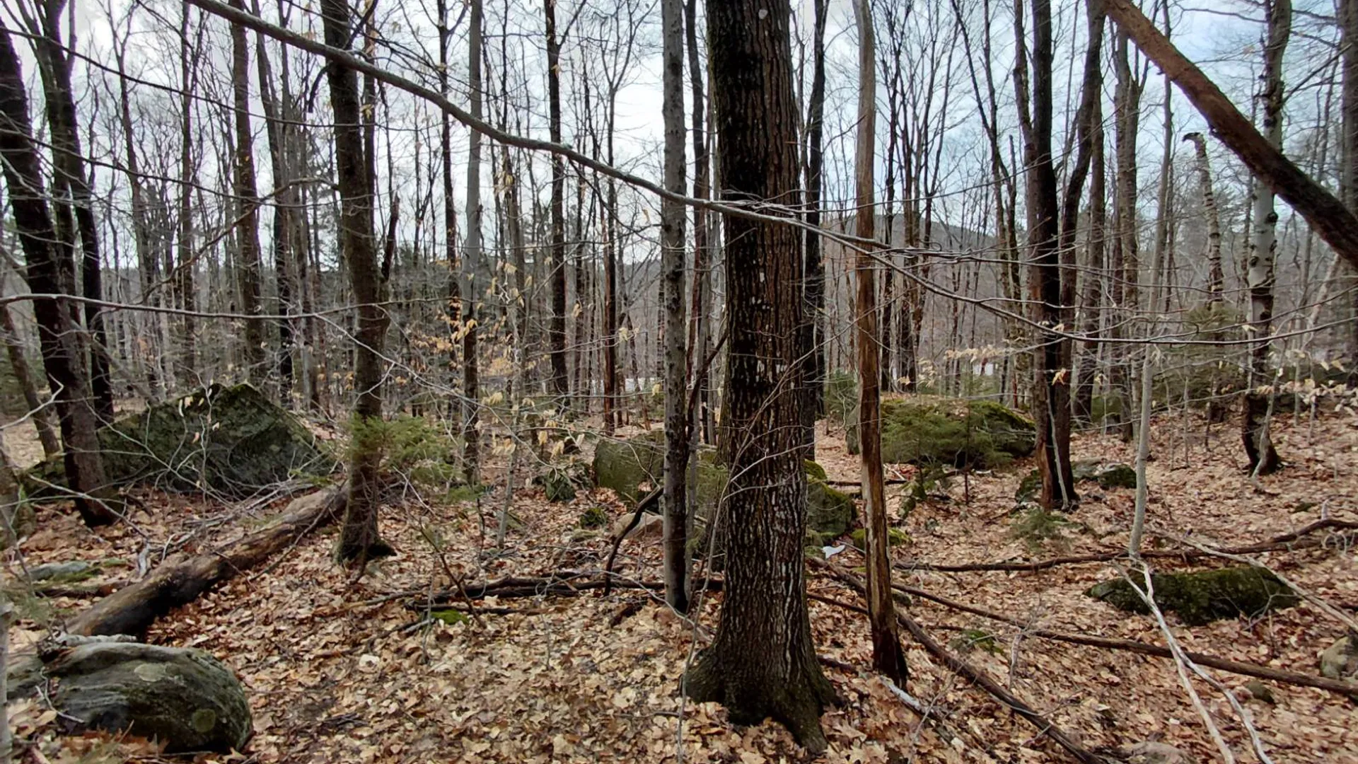 Property at 1775 State Hwy 29A, Caroga Lake, NY 12032 13