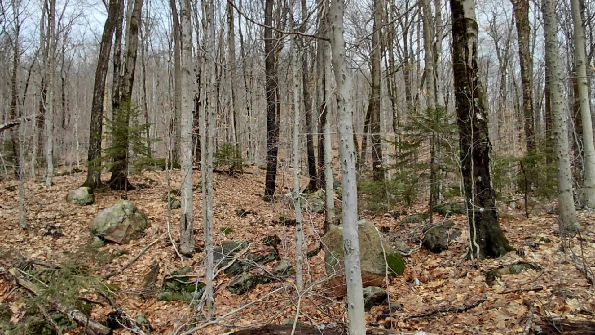 Property at 1775 State Hwy 29A, Caroga Lake, NY 12032 14