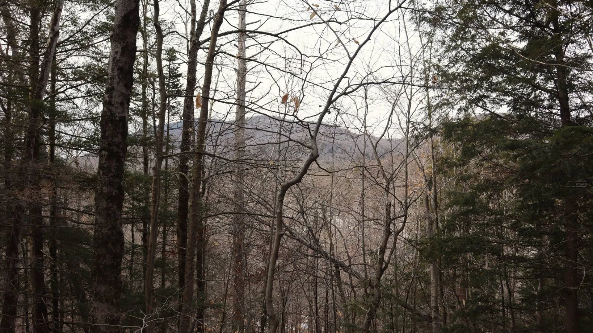 Property at 0 Crane Mountain Road, Johnsburg, NY 12843 2