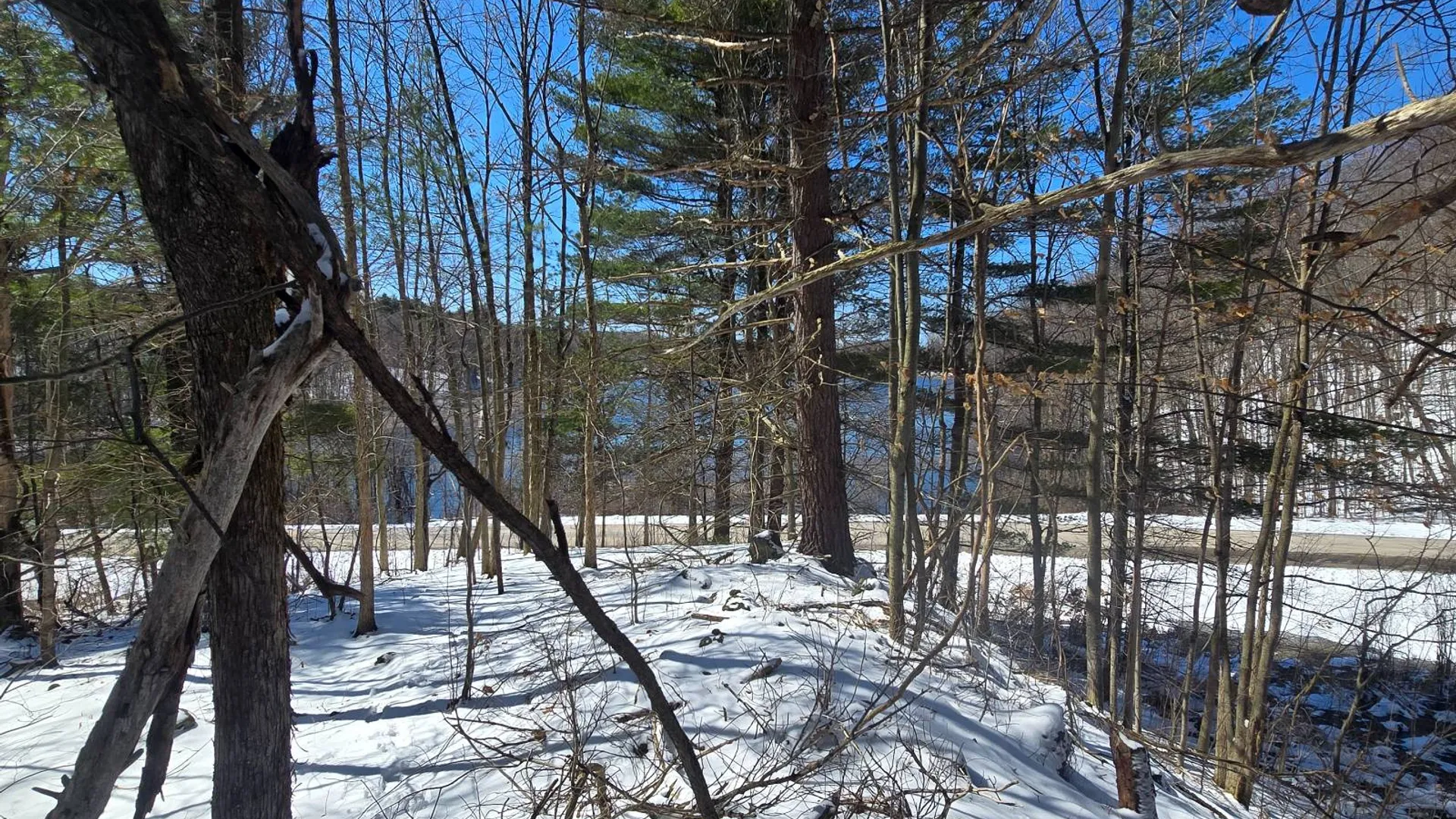 Property at 00 Williams Rd, Gouverneur, NY 13642 10