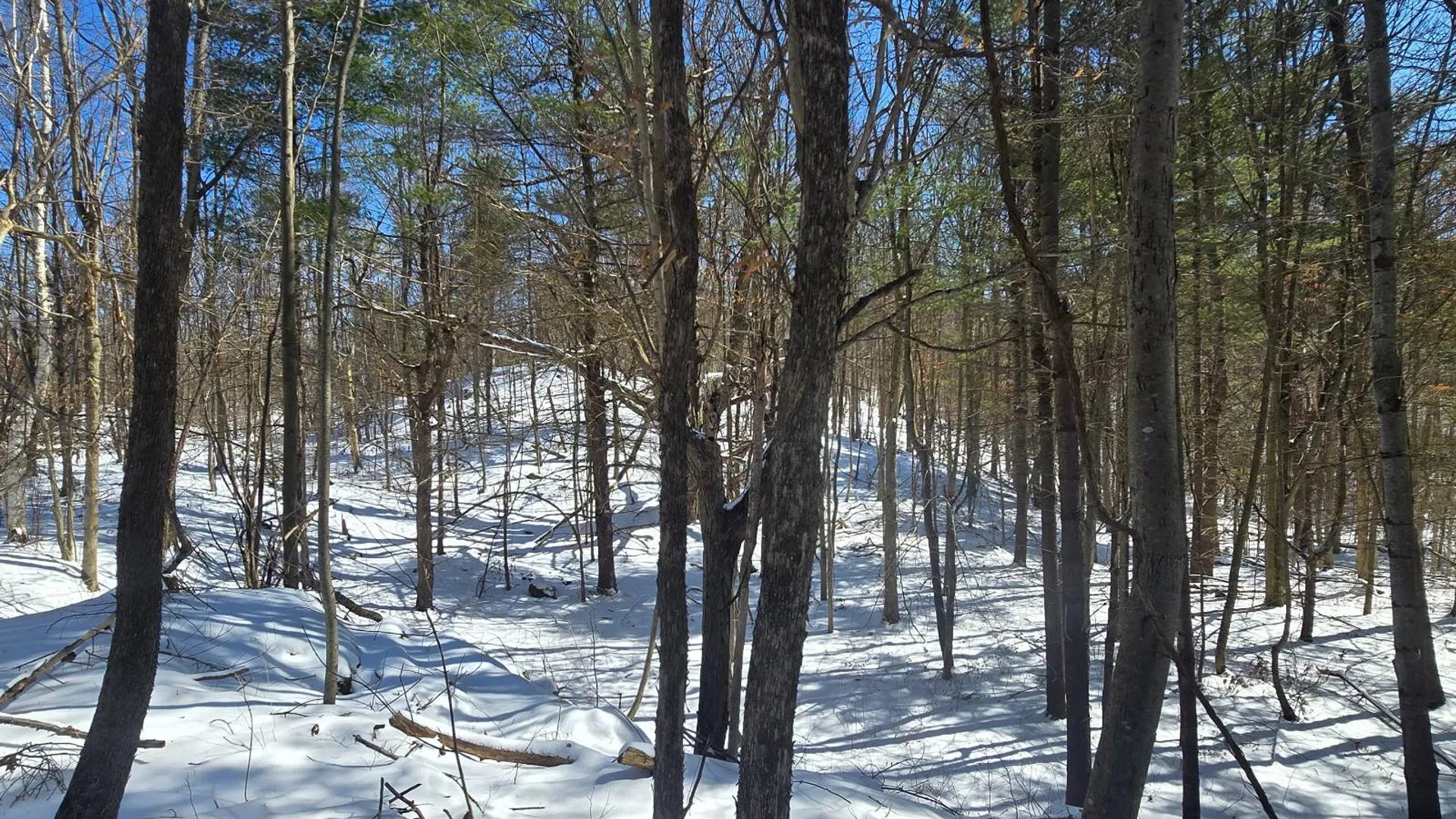 Property at 00 Williams Rd, Gouverneur, NY 13642 11