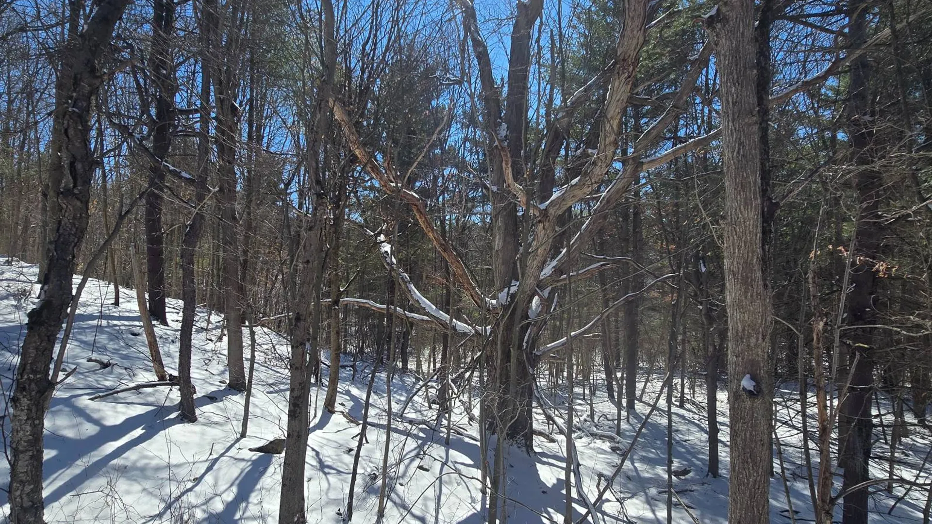 Property at 00 Williams Rd, Gouverneur, NY 13642 12