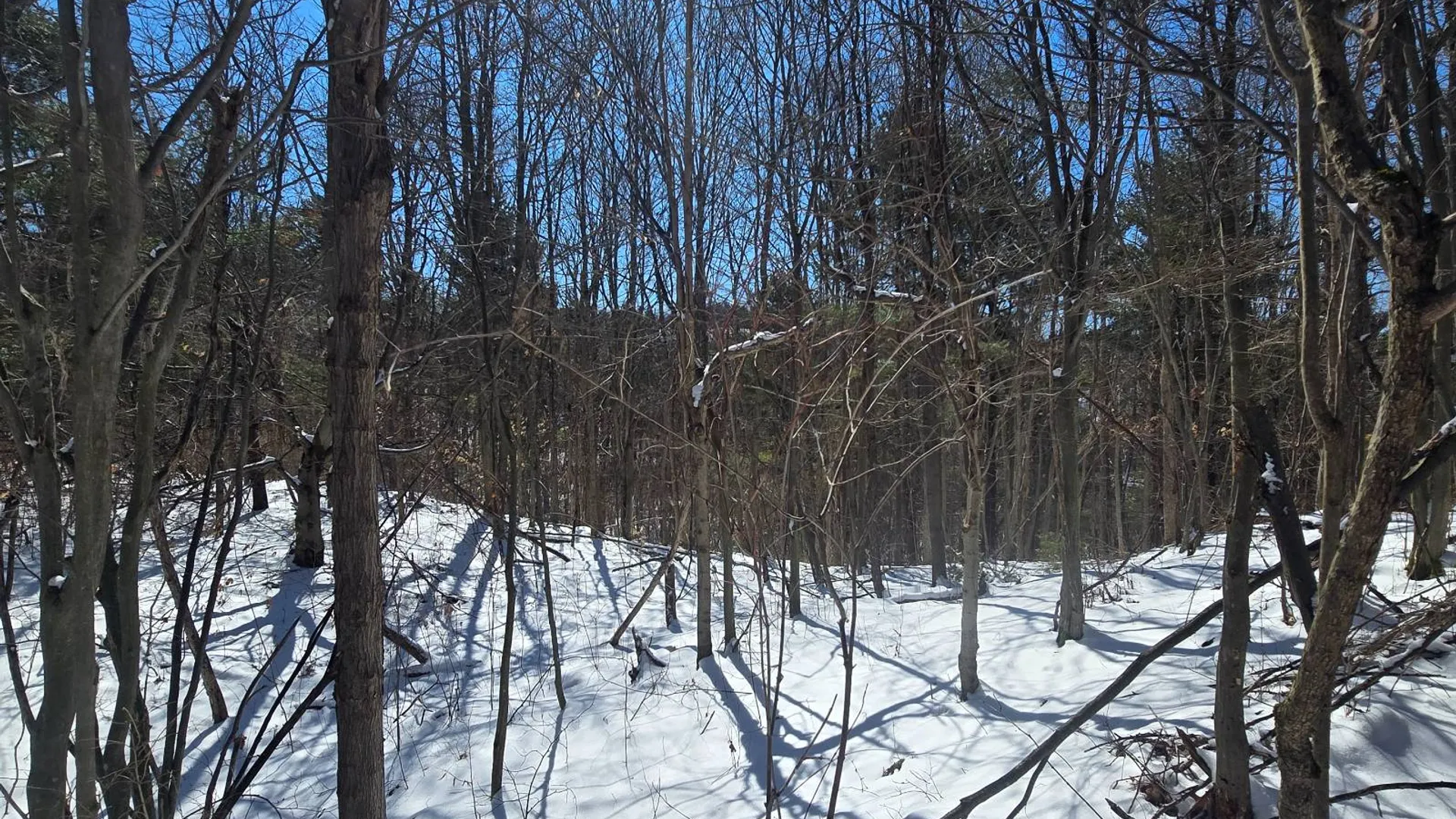 Property at 00 Williams Rd, Gouverneur, NY 13642 13