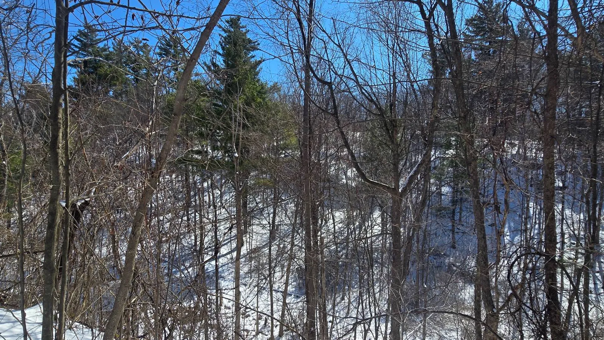 Property at 00 Williams Rd, Gouverneur, NY 13642 14