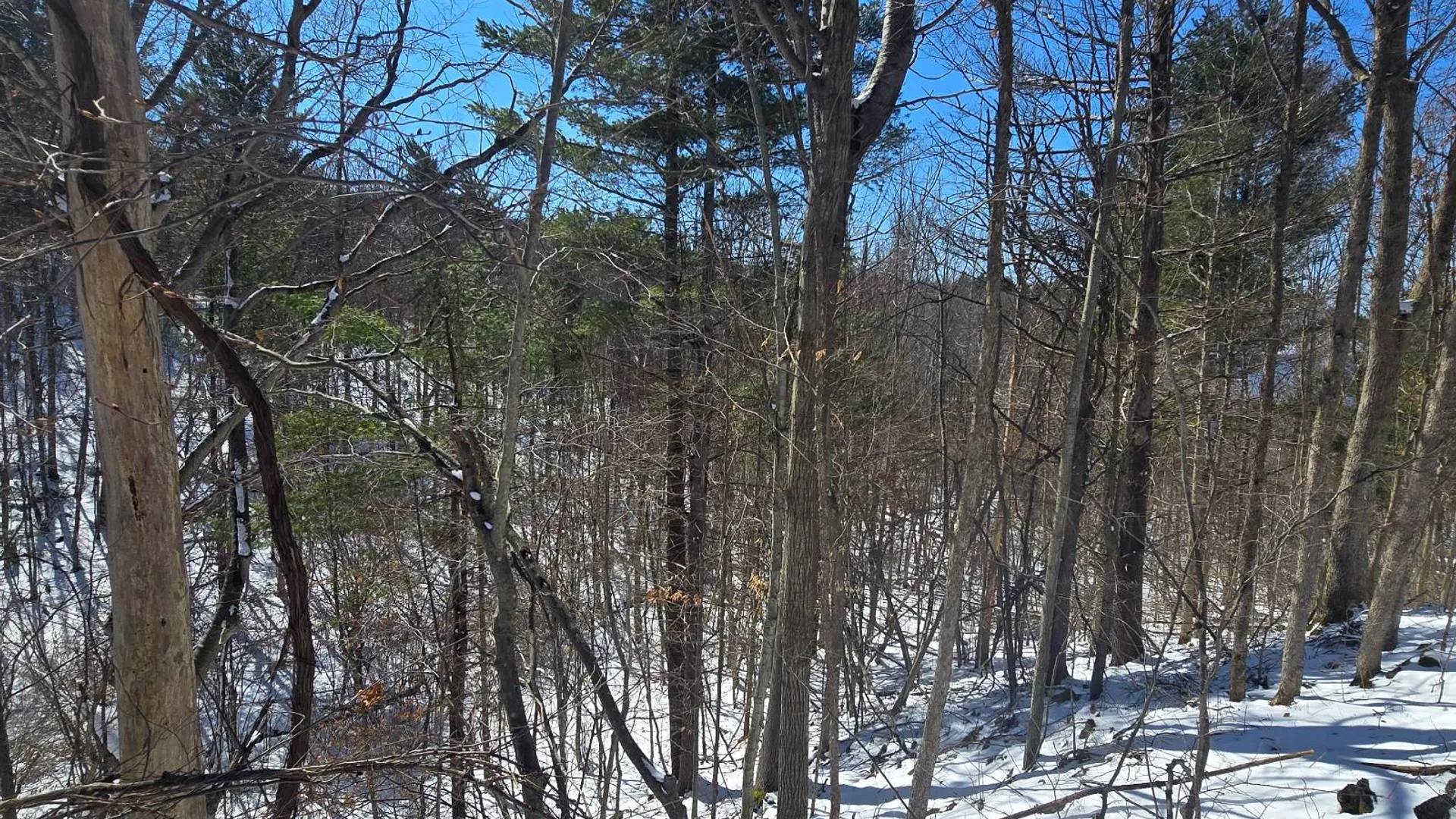 Property at 00 Williams Rd, Gouverneur, NY 13642 16