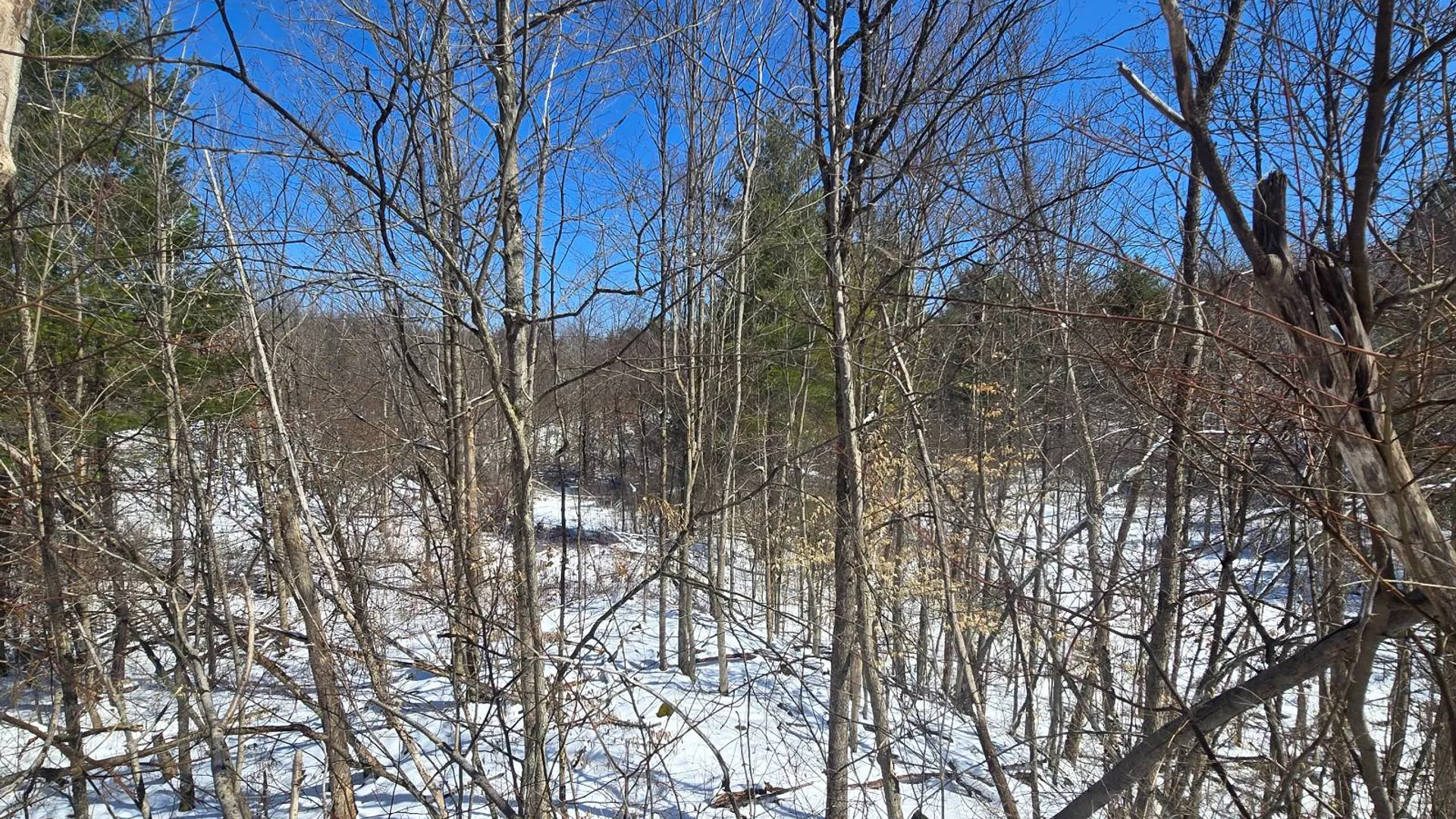 Property at 00 Williams Rd, Gouverneur, NY 13642 17