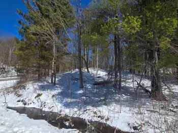 Property at 00 Williams Rd, Gouverneur, NY 13642