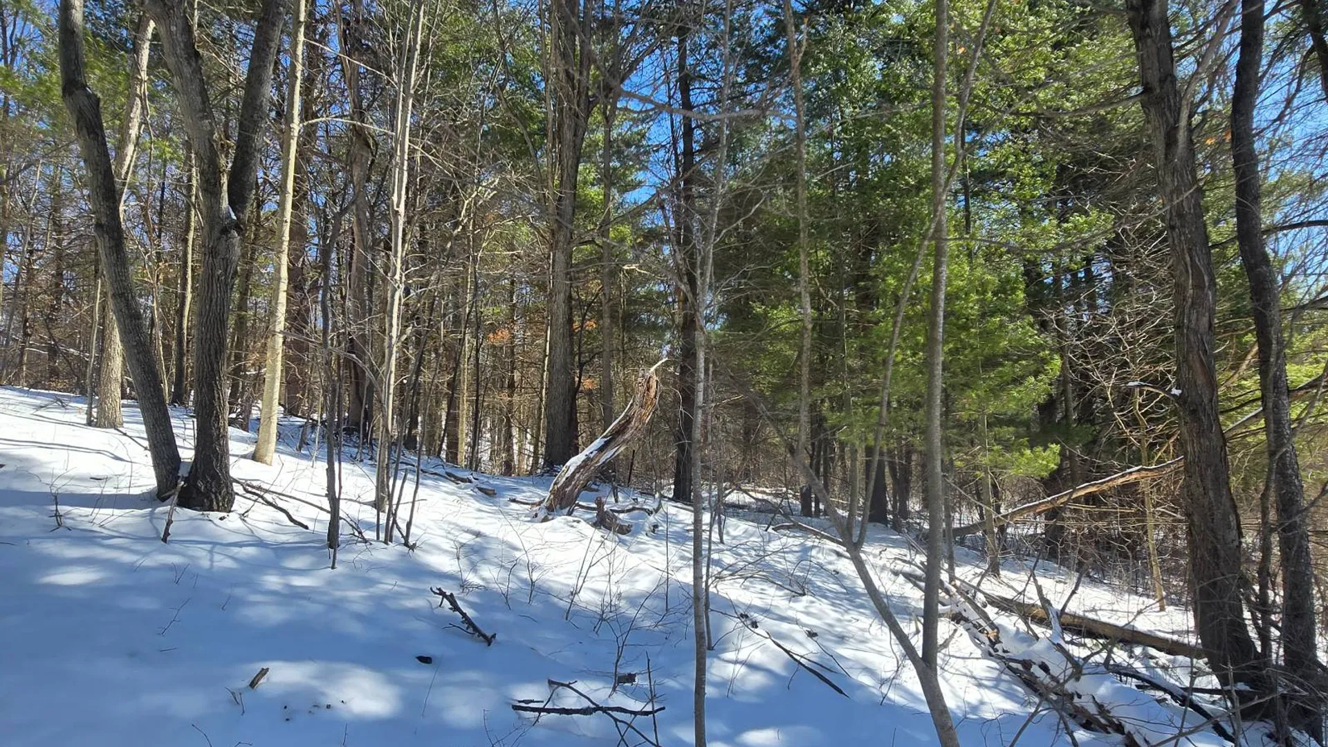 Property at 00 Williams Rd, Gouverneur, NY 13642 3