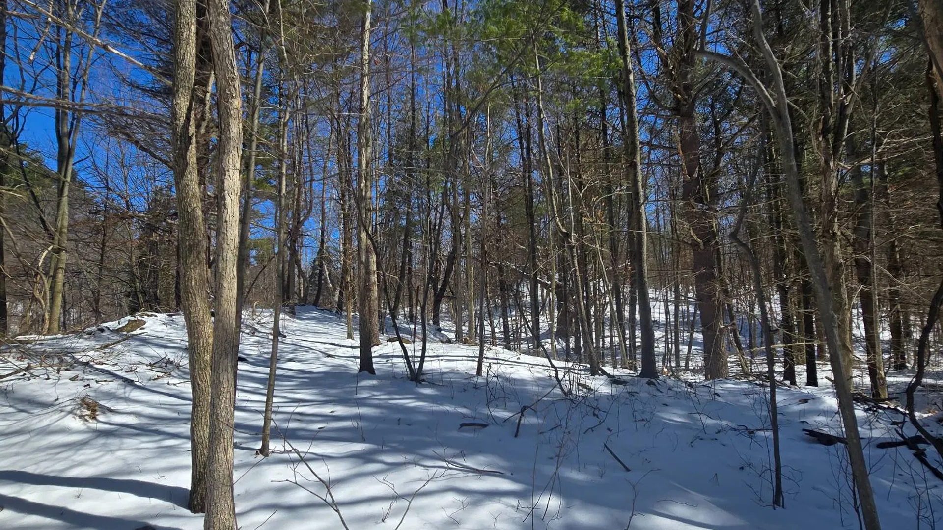 Property at 00 Williams Rd, Gouverneur, NY 13642 4