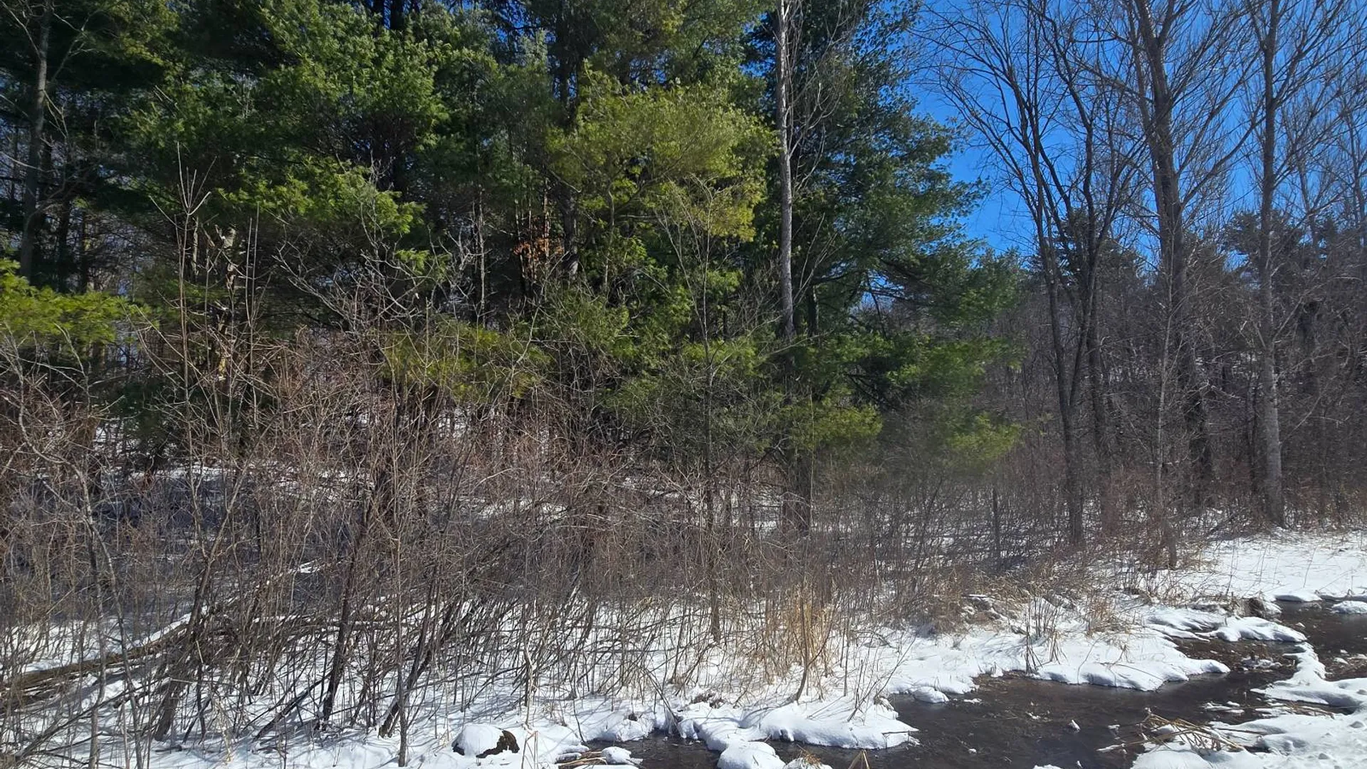 Property at 00 Williams Rd, Gouverneur, NY 13642 5
