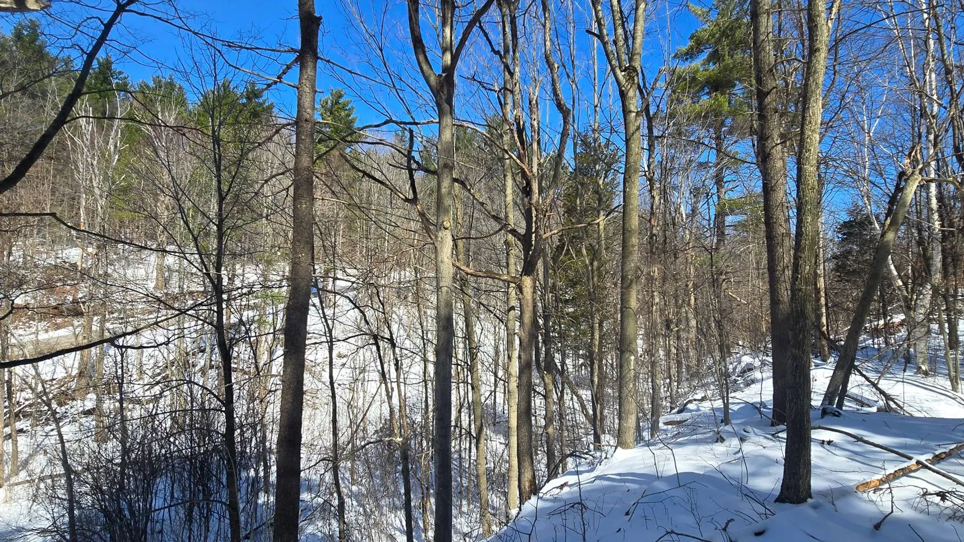Property at 00 Williams Rd, Gouverneur, NY 13642 6