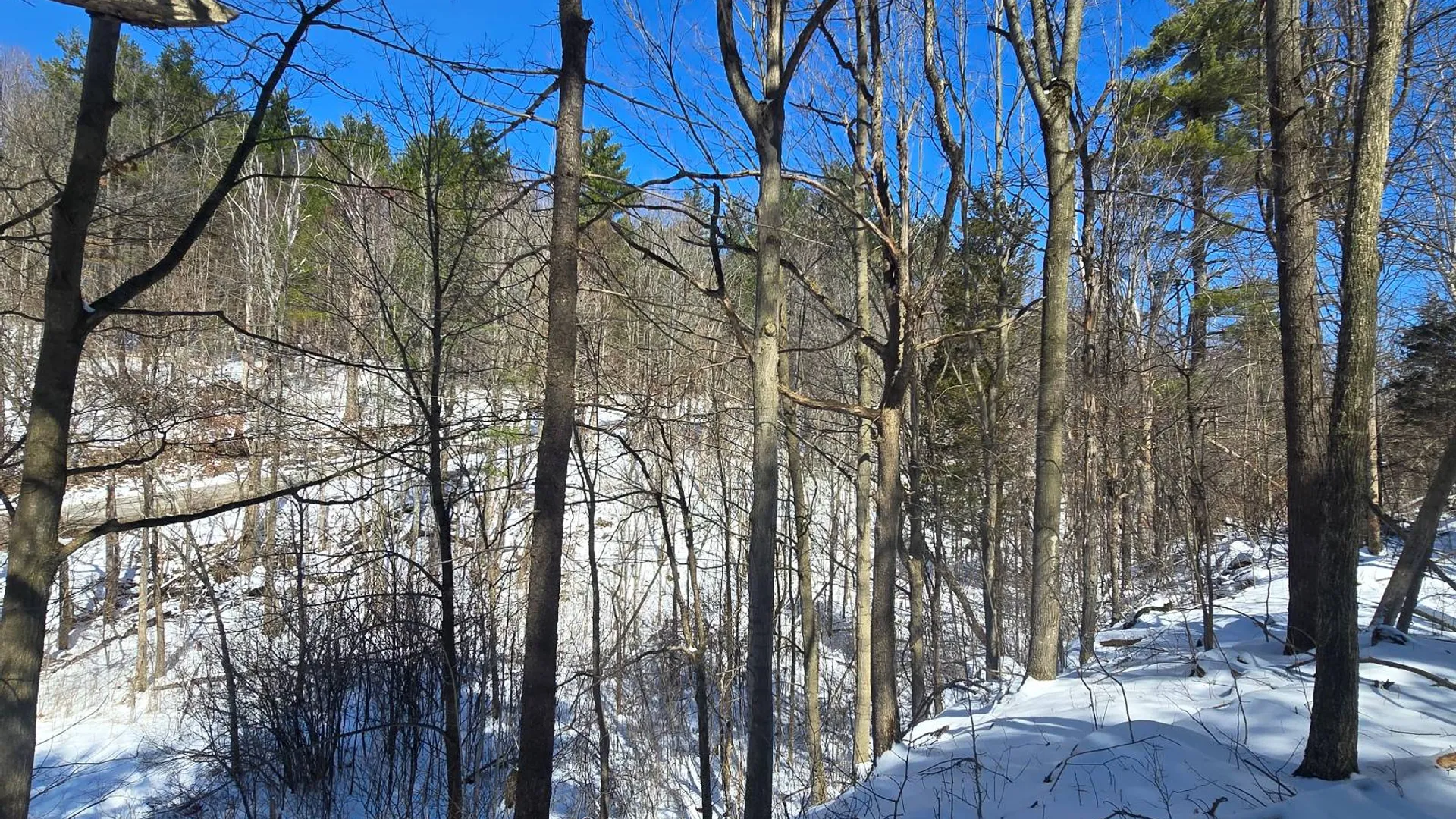 Property at 00 Williams Rd, Gouverneur, NY 13642 7