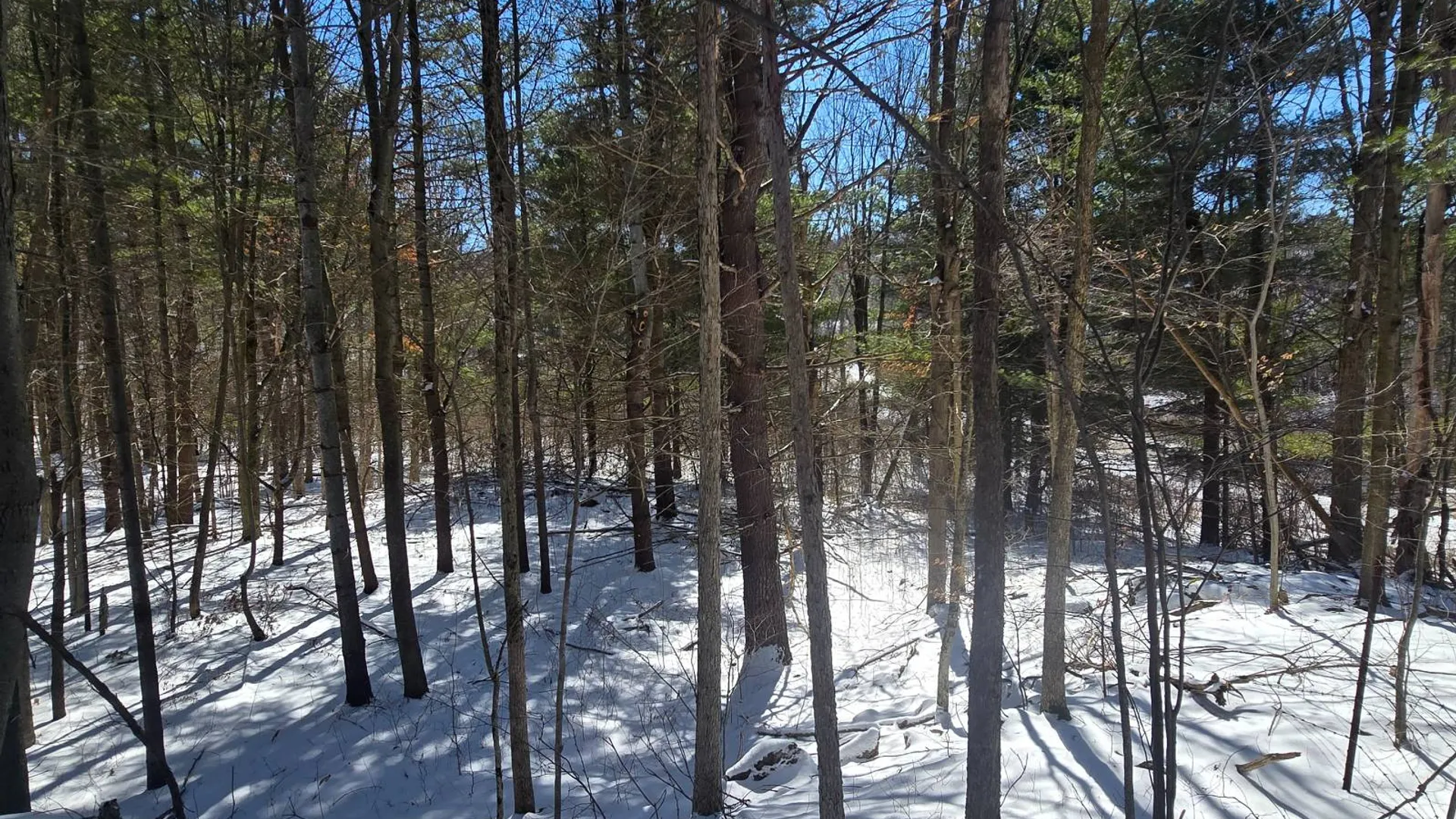 Property at 00 Williams Rd, Gouverneur, NY 13642 8