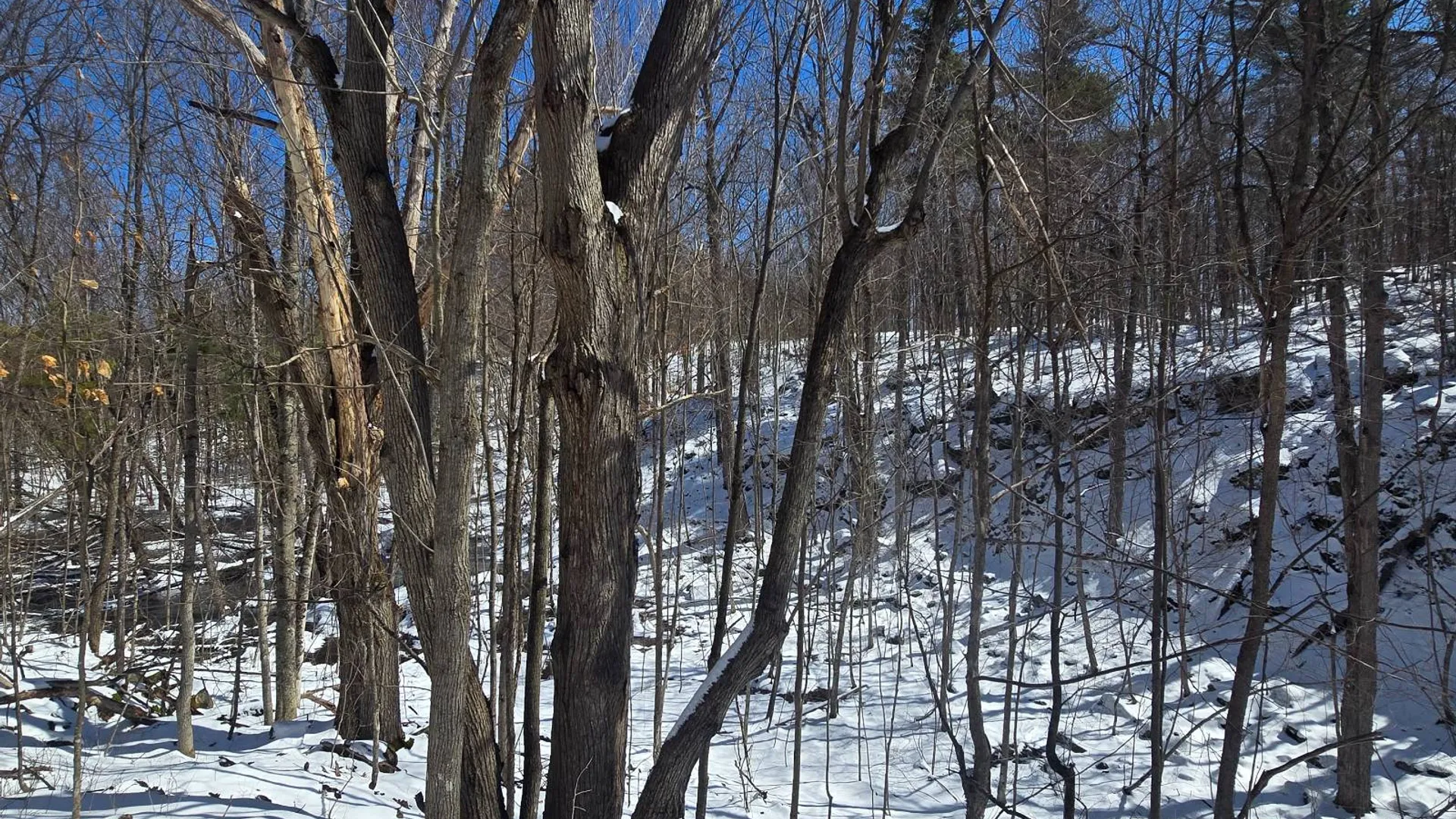 Property at 00 Williams Rd, Gouverneur, NY 13642 10