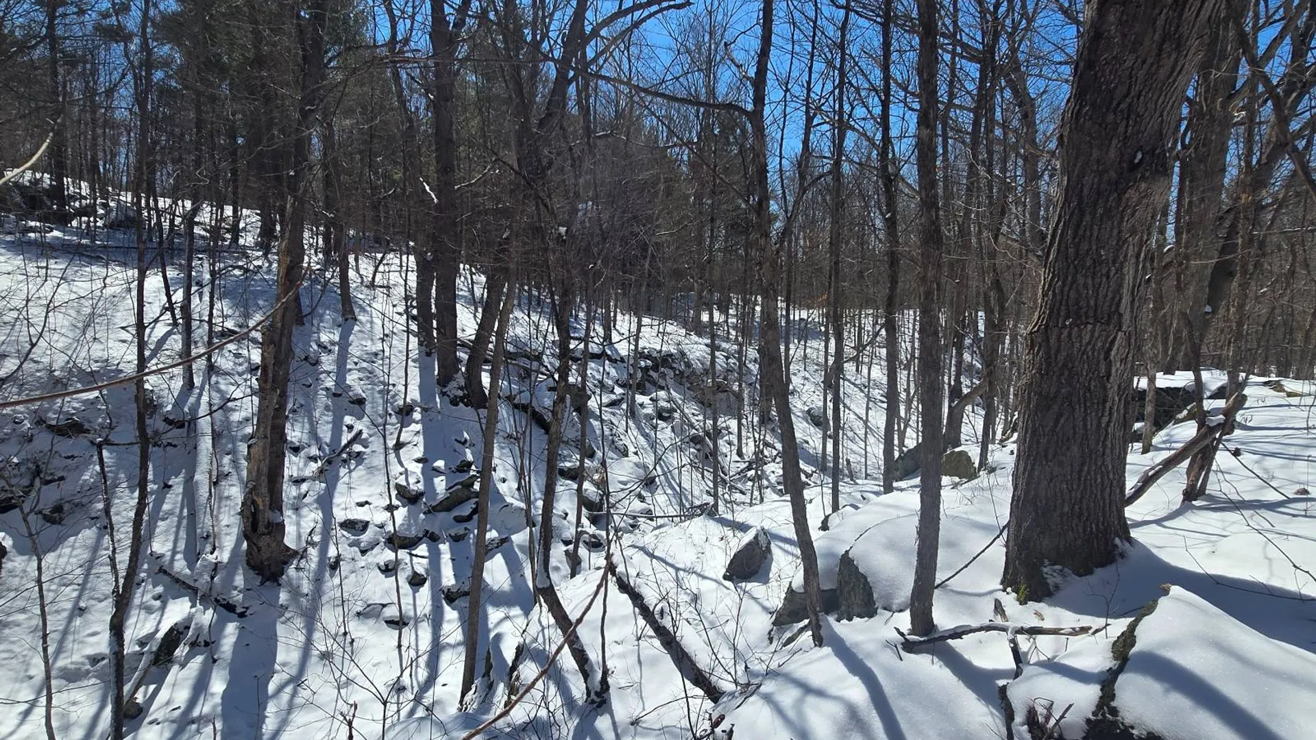 Property at 00 Williams Rd, Gouverneur, NY 13642 11
