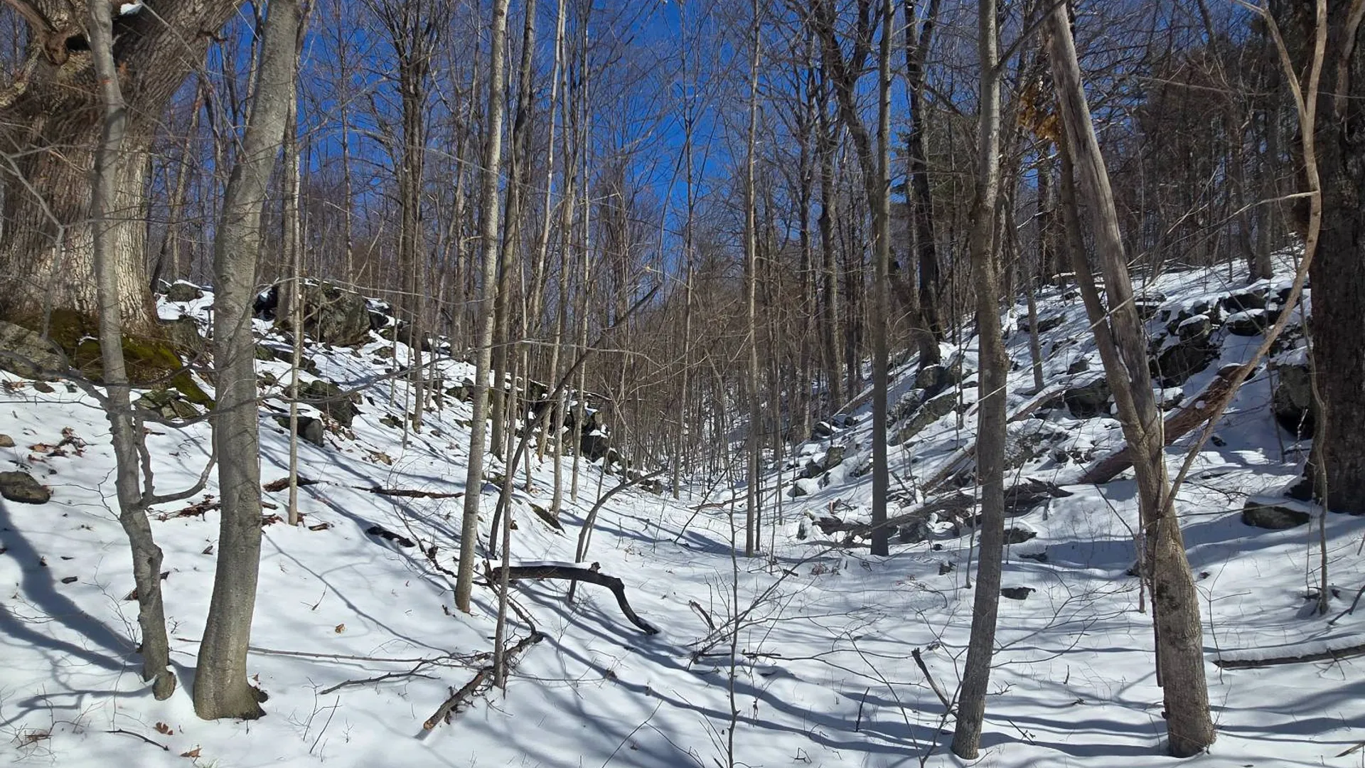 Property at 00 Williams Rd, Gouverneur, NY 13642 12