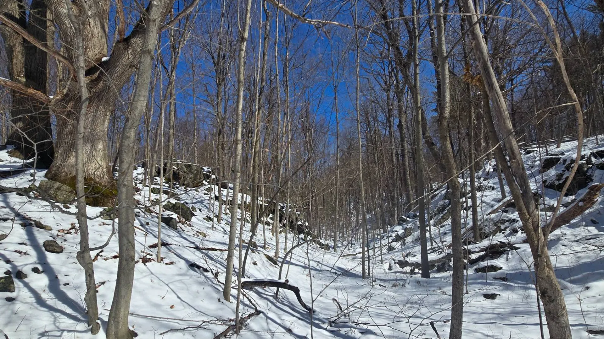 Property at 00 Williams Rd, Gouverneur, NY 13642 14