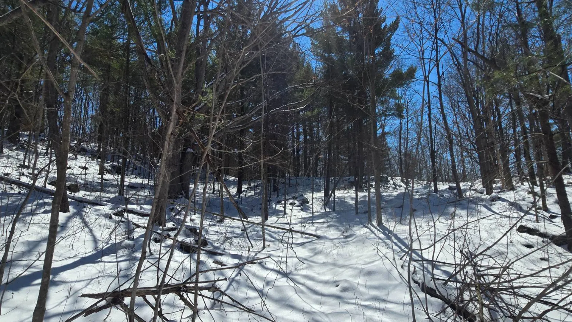 Property at 00 Williams Rd, Gouverneur, NY 13642 15