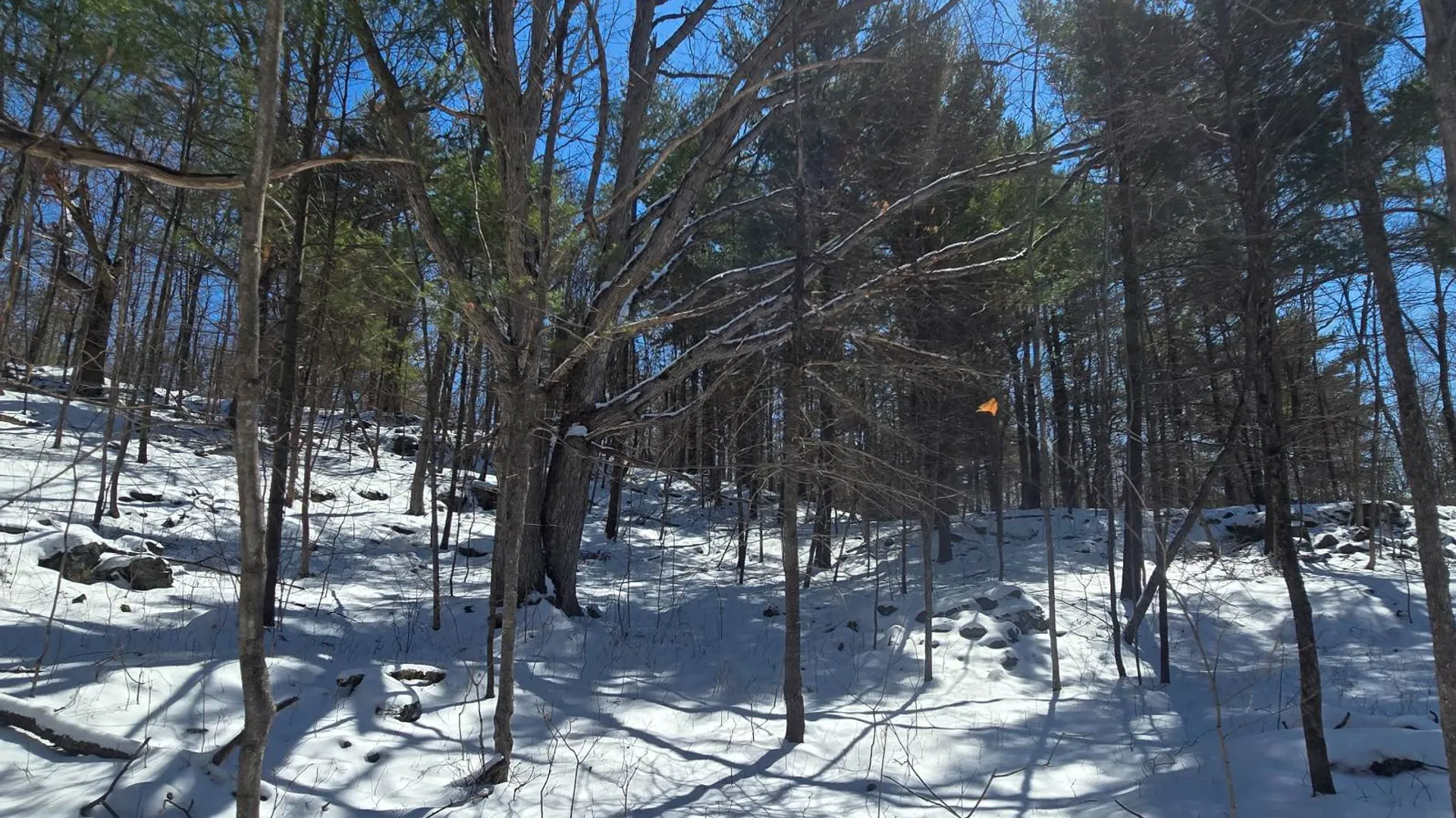 Property at 00 Williams Rd, Gouverneur, NY 13642 16