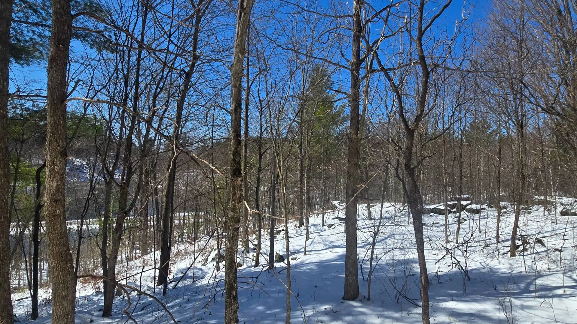 Property at 00 Williams Rd, Gouverneur, NY 13642 18